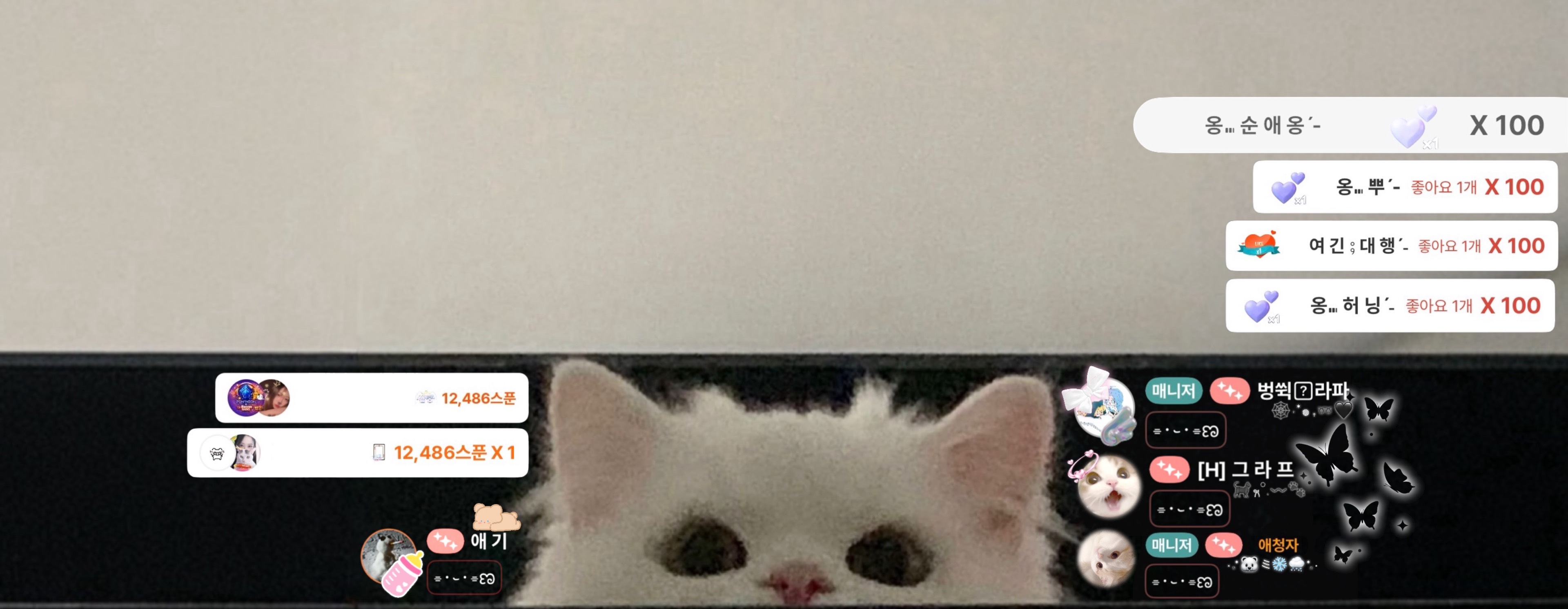 애 옹 ⨾ ྀིﾏฅ