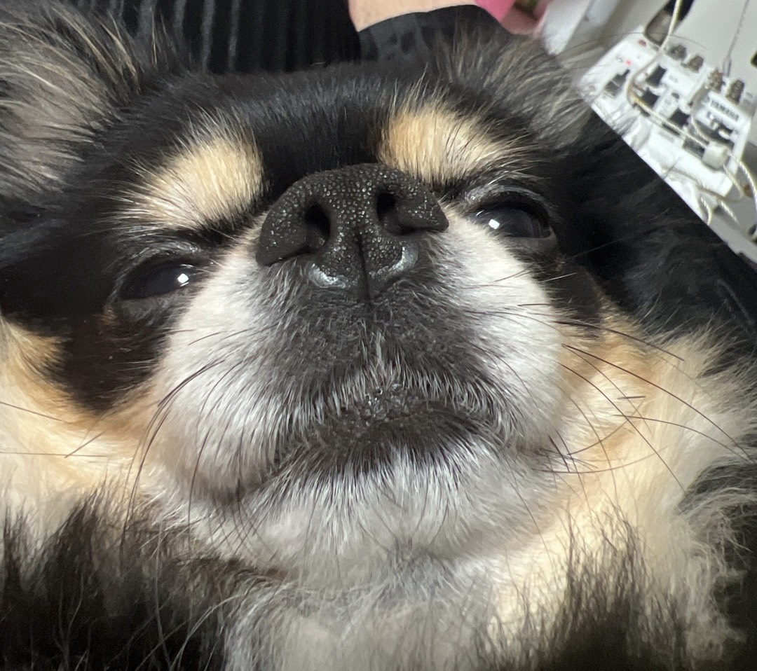 ๐ ๊ฐ ์ด