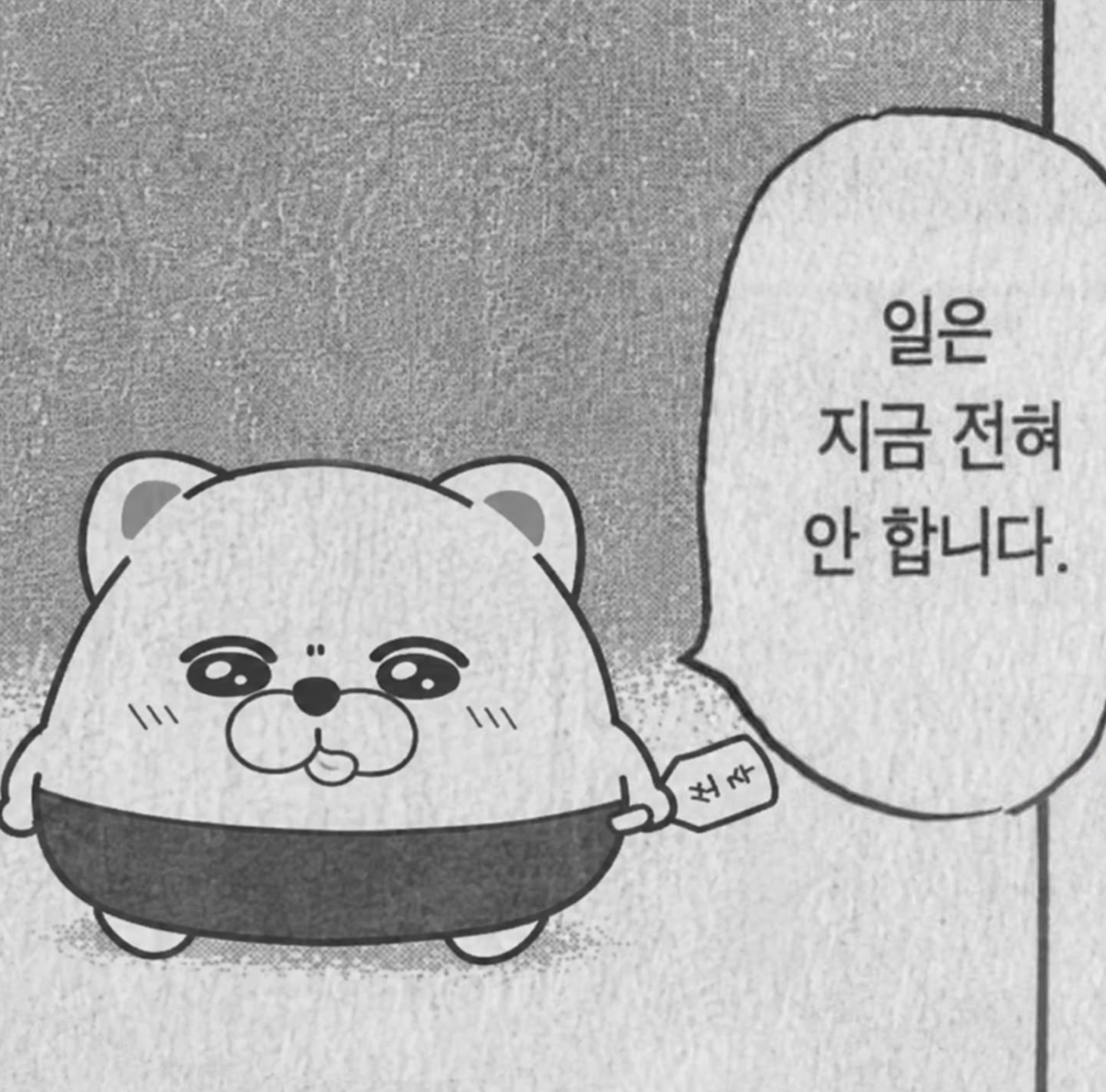 ๐ช๐๐๐๐๐ แอโอ