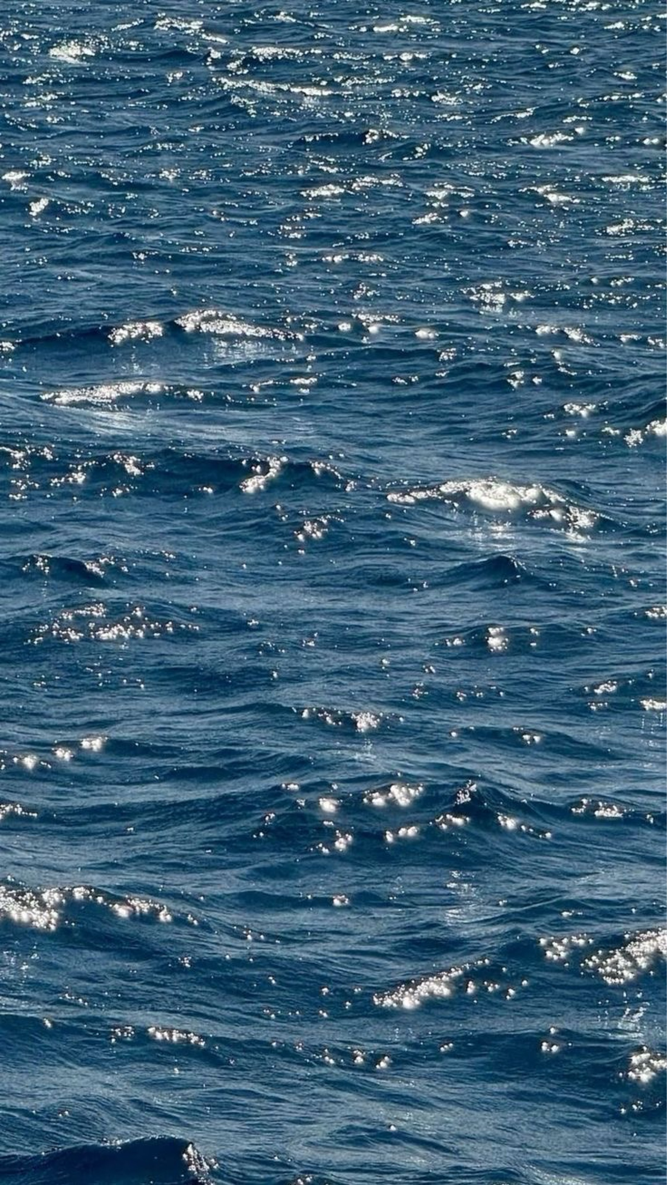 다 옴       海