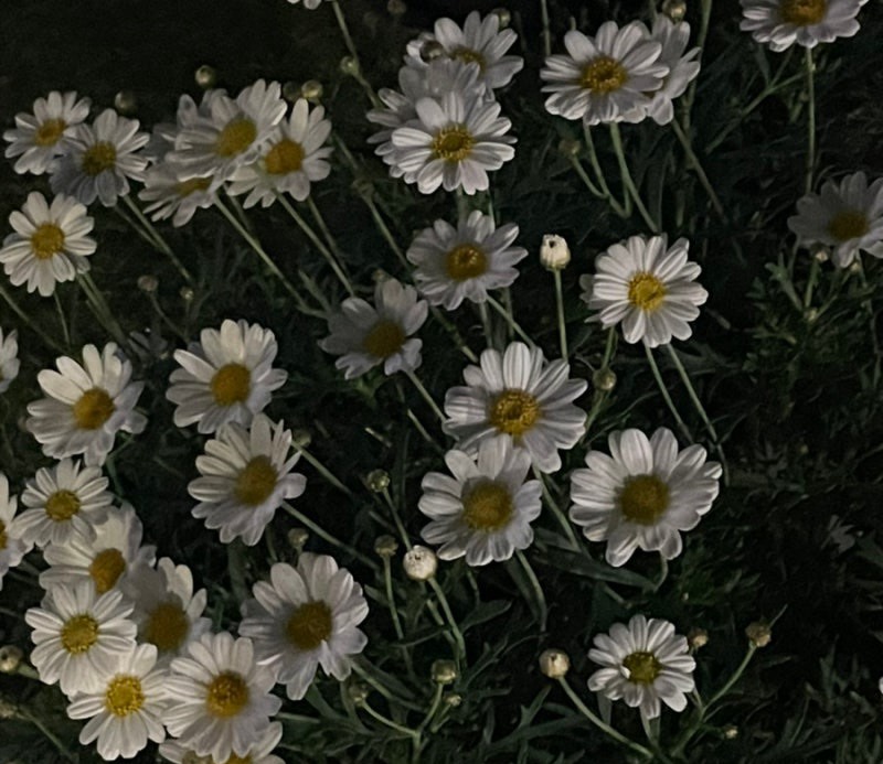ㅤㅤㅤ