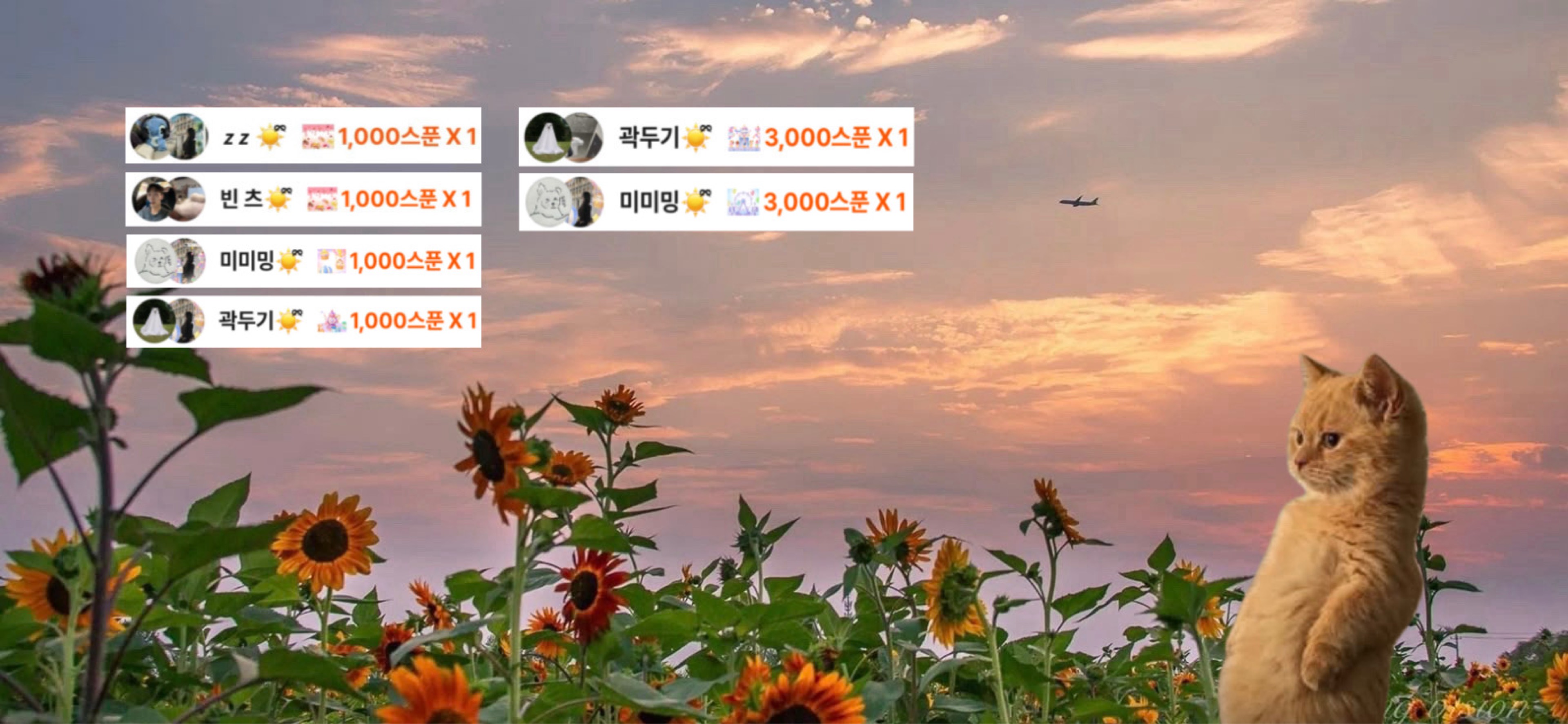썬☀️ྀི