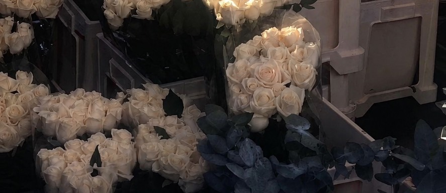 후 추 ʰᶜ