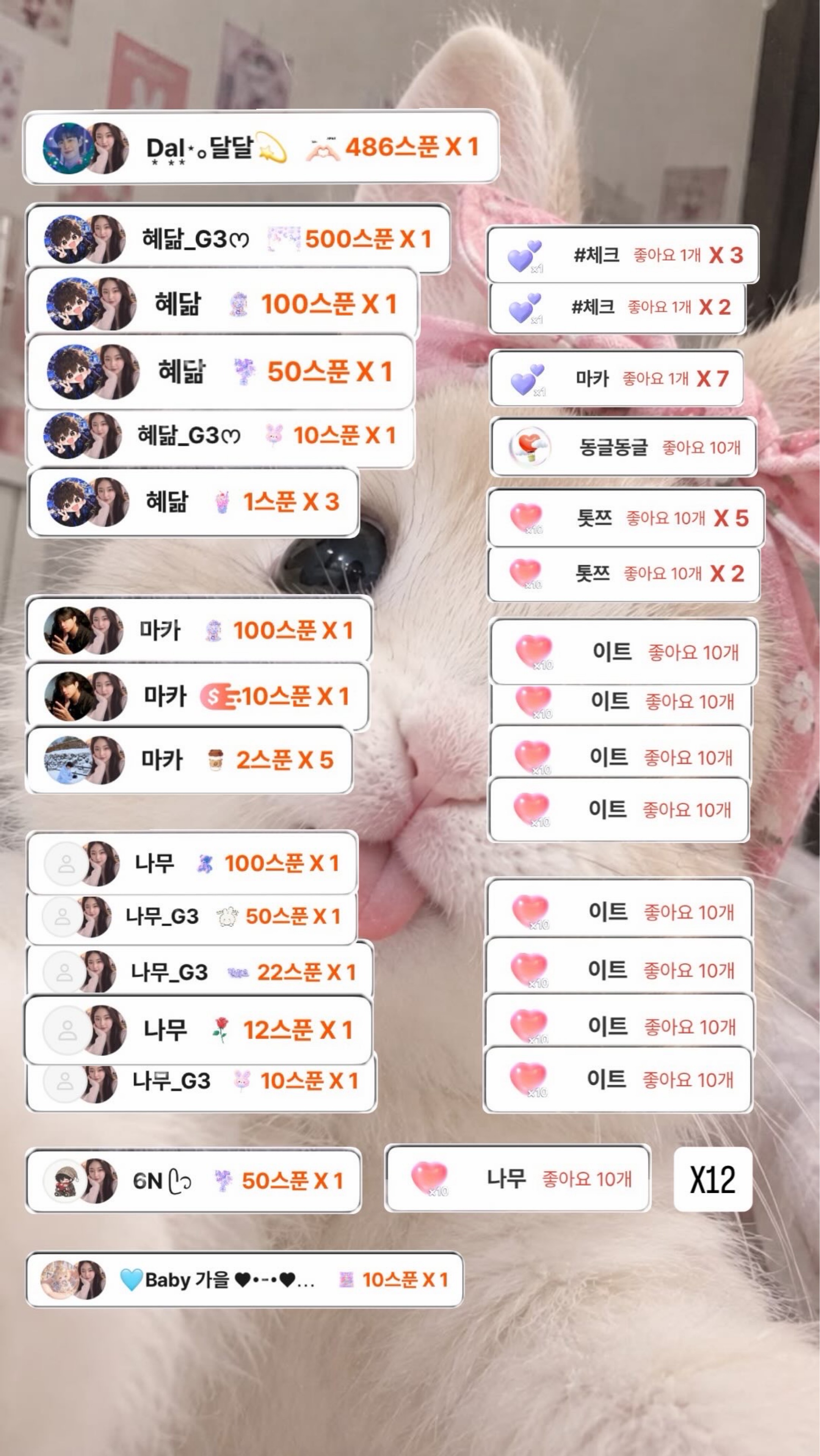 D͙a͙l͙⋆。규리공주💫_G3