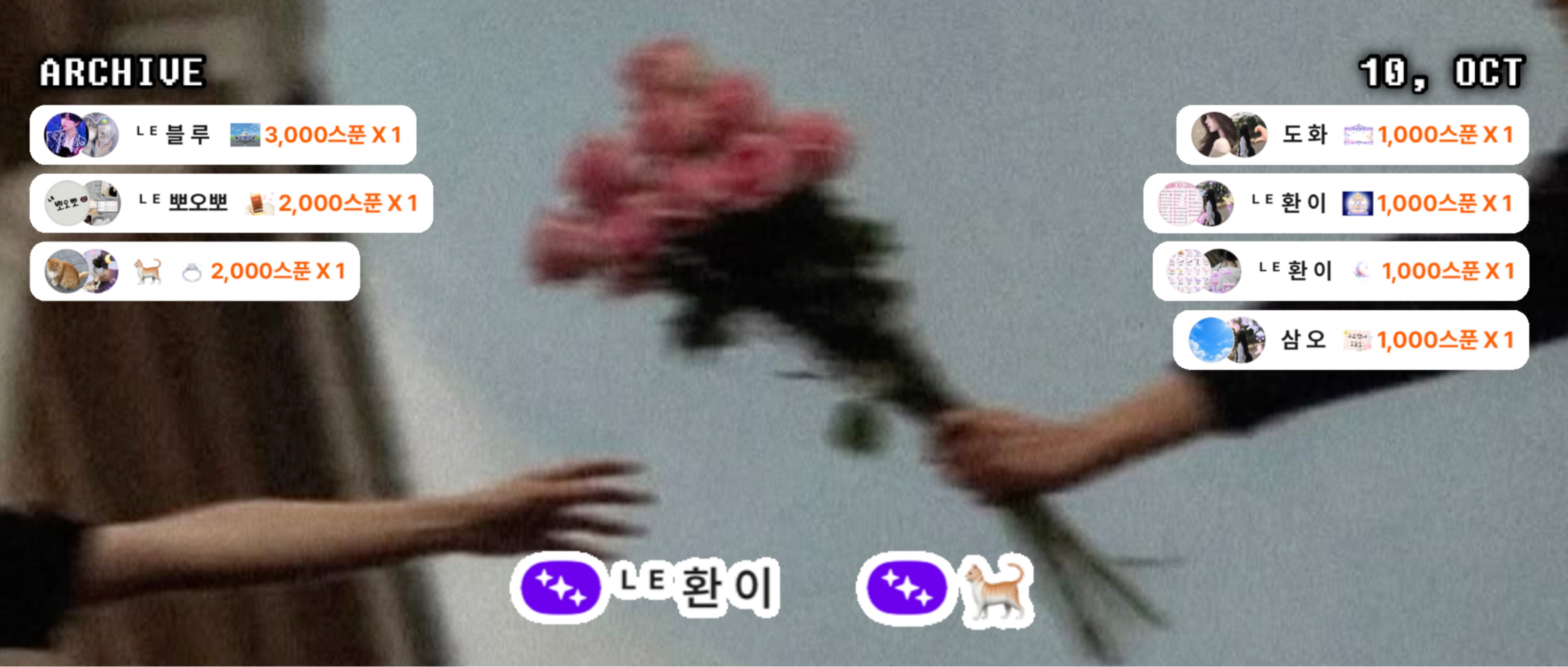 고양이화장실치우다 손에💩묻은레다찡