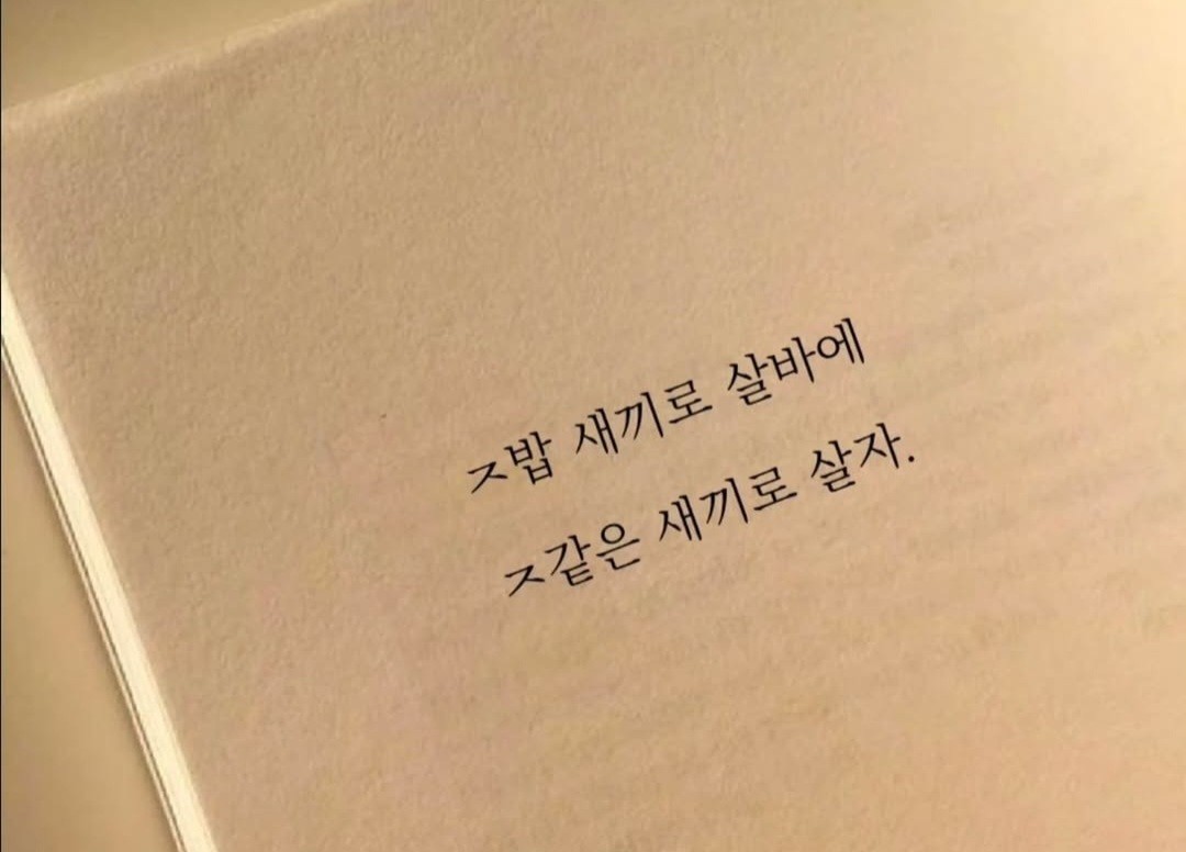 라이연˚.༄