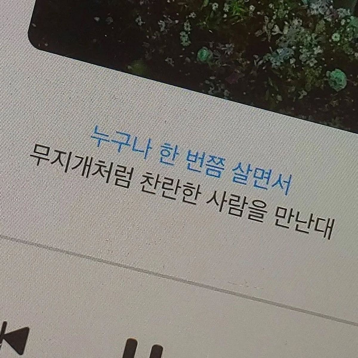 도 리ₒ✩