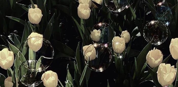 ♡̷̷̷, 애 연