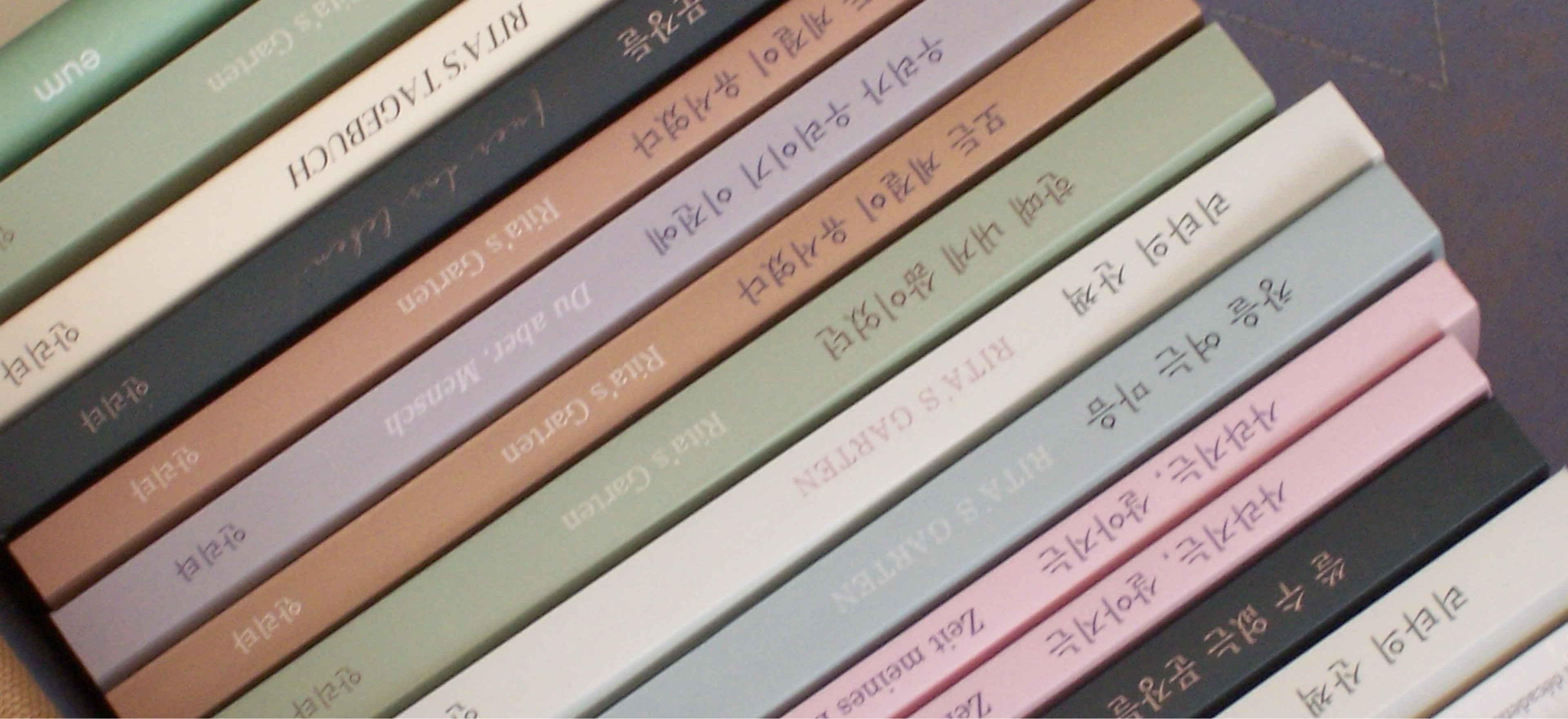 달파랑 ❨⋆。˚
