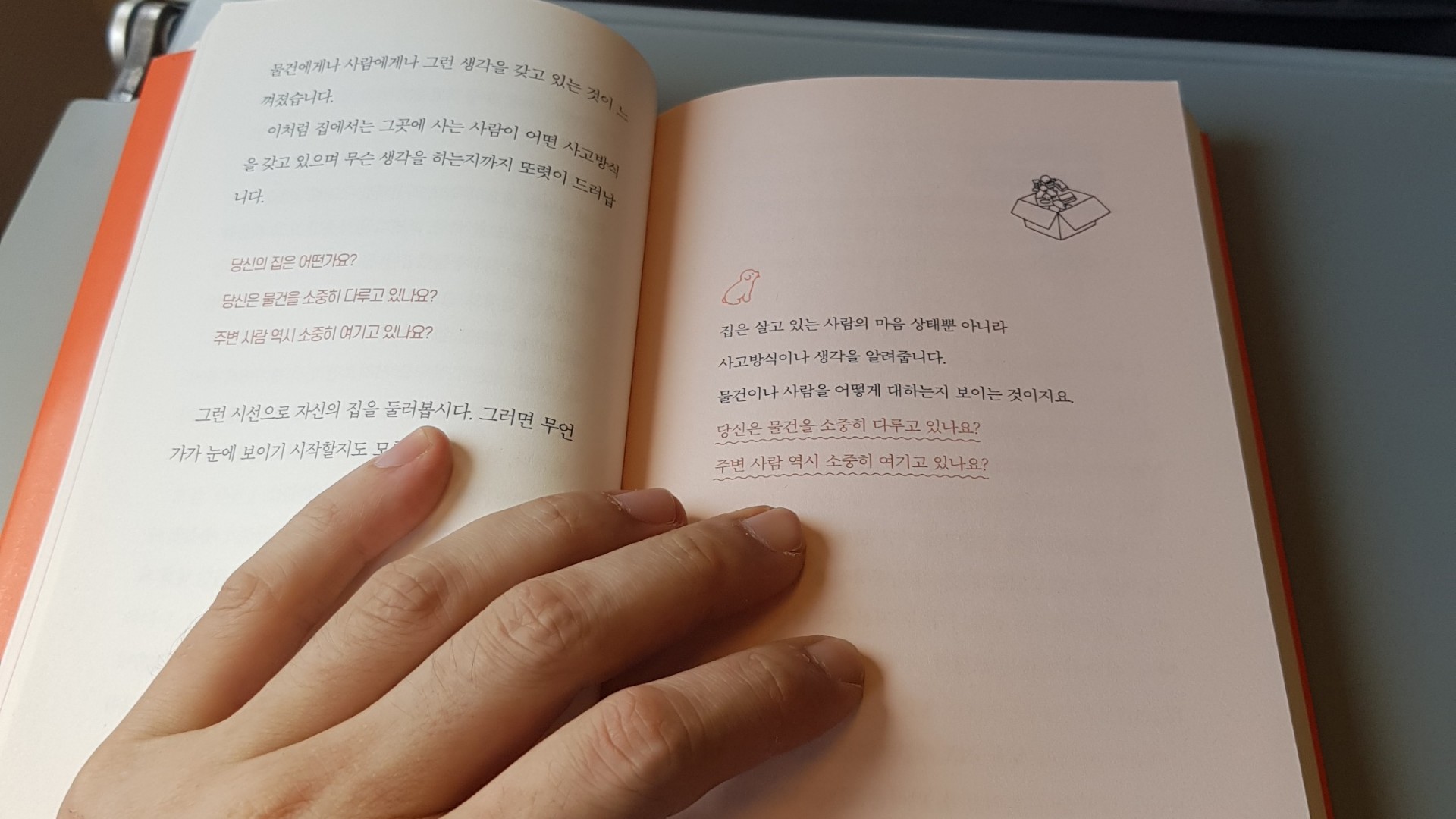 무 반