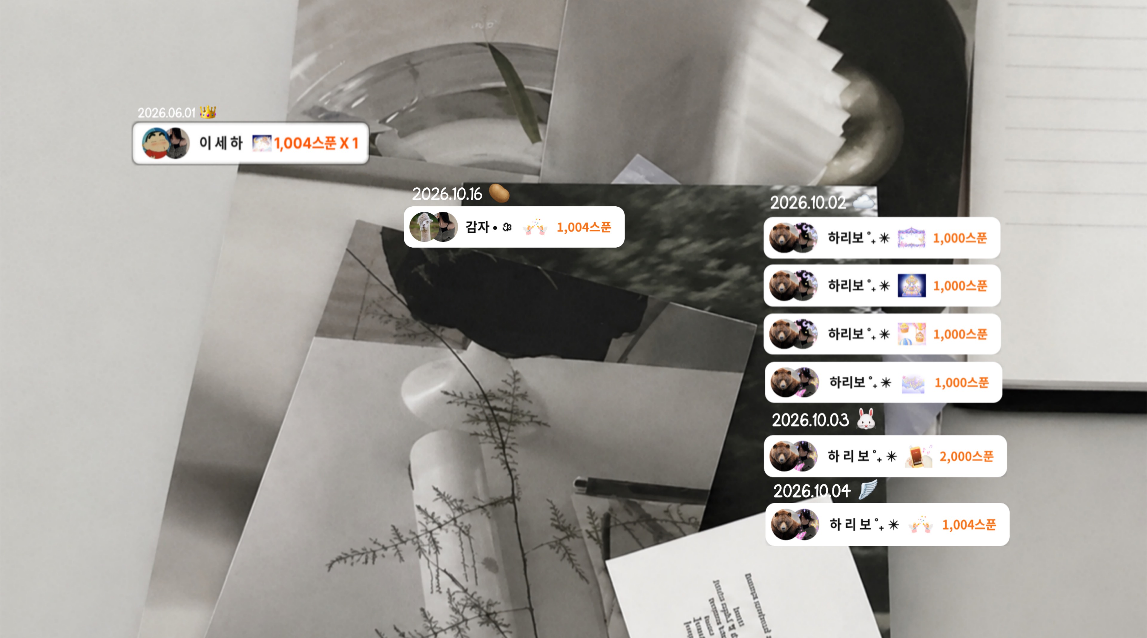 연 온 ˚₊ ✴︎