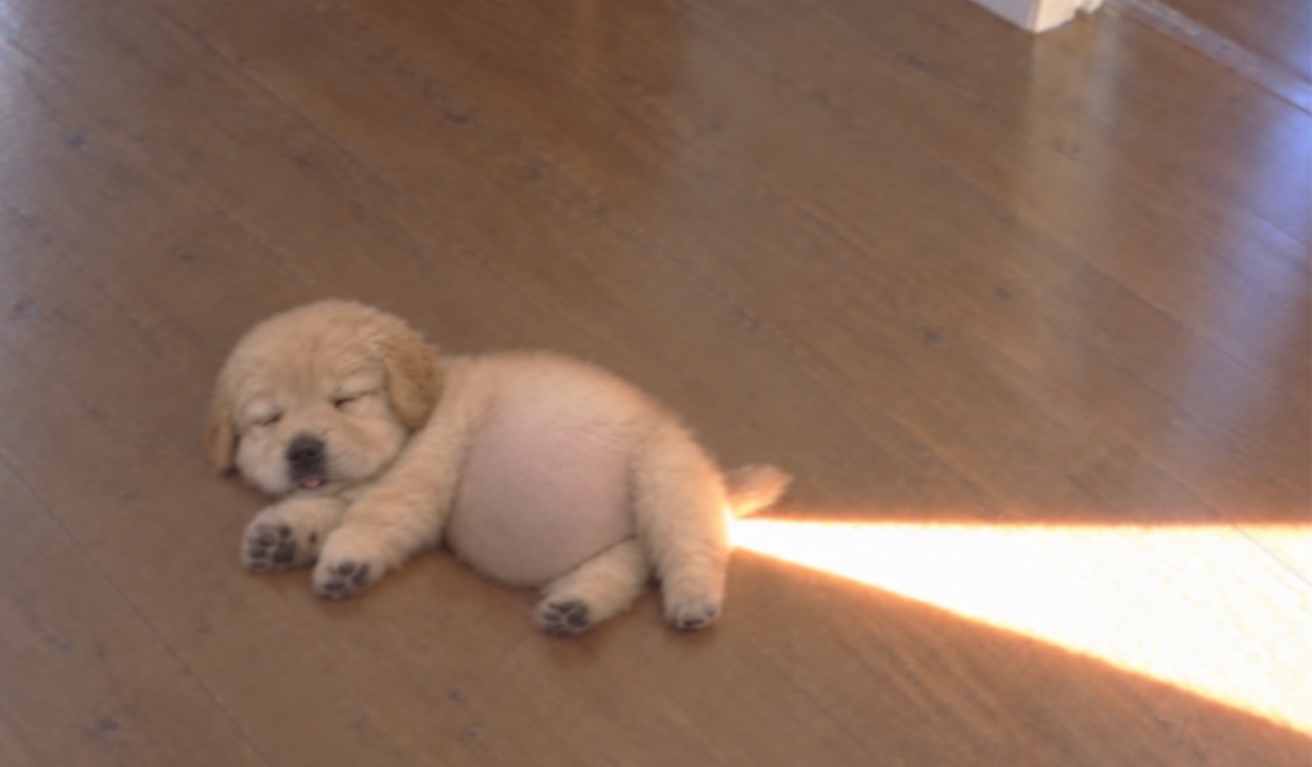 ㅅㅗㄱㅡㅁ