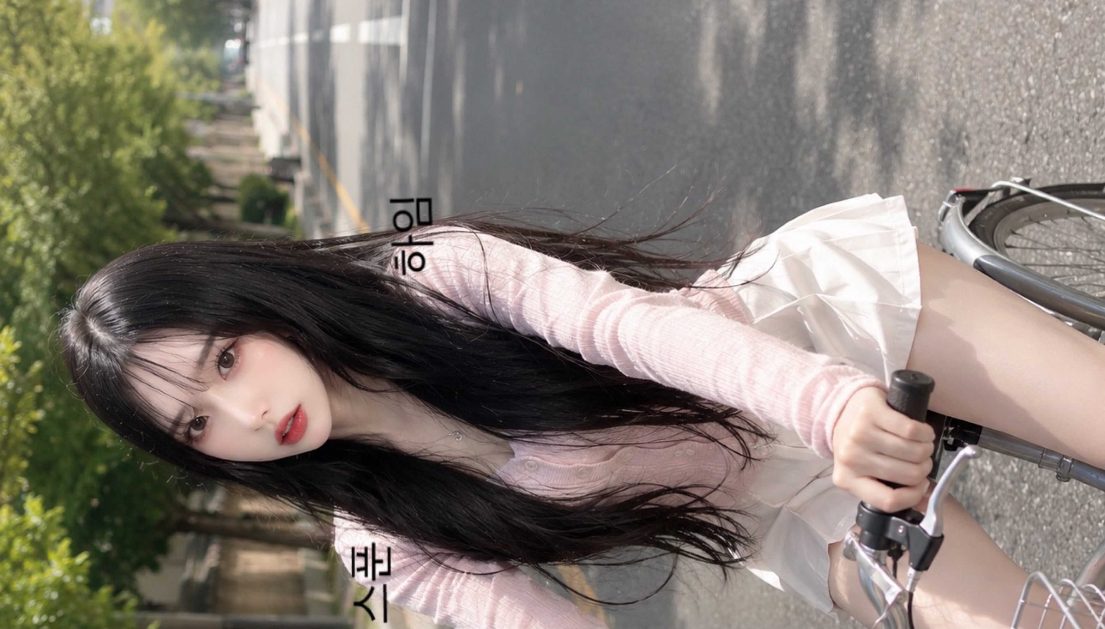 하 임
