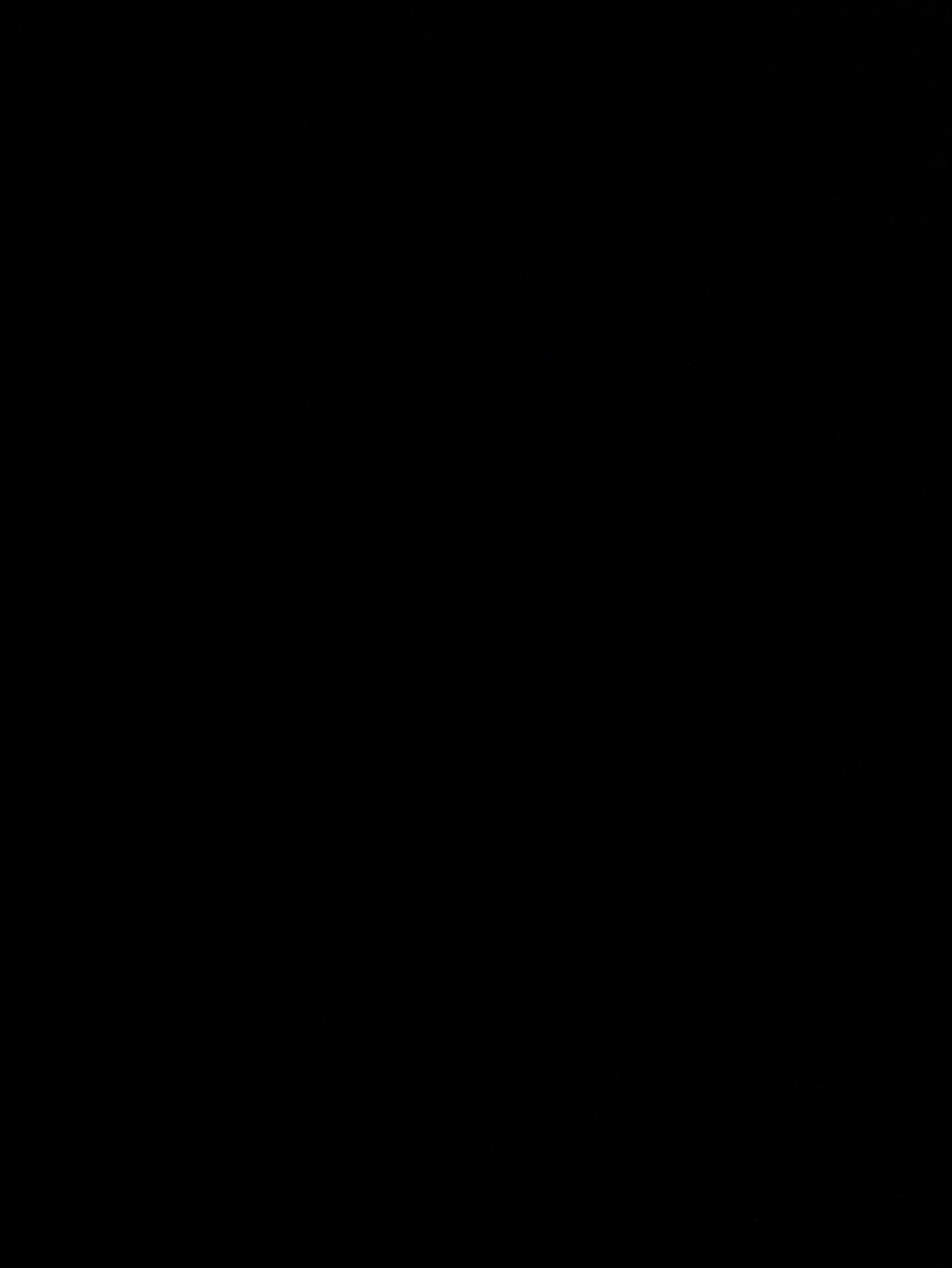 웅                ⋆₊✰