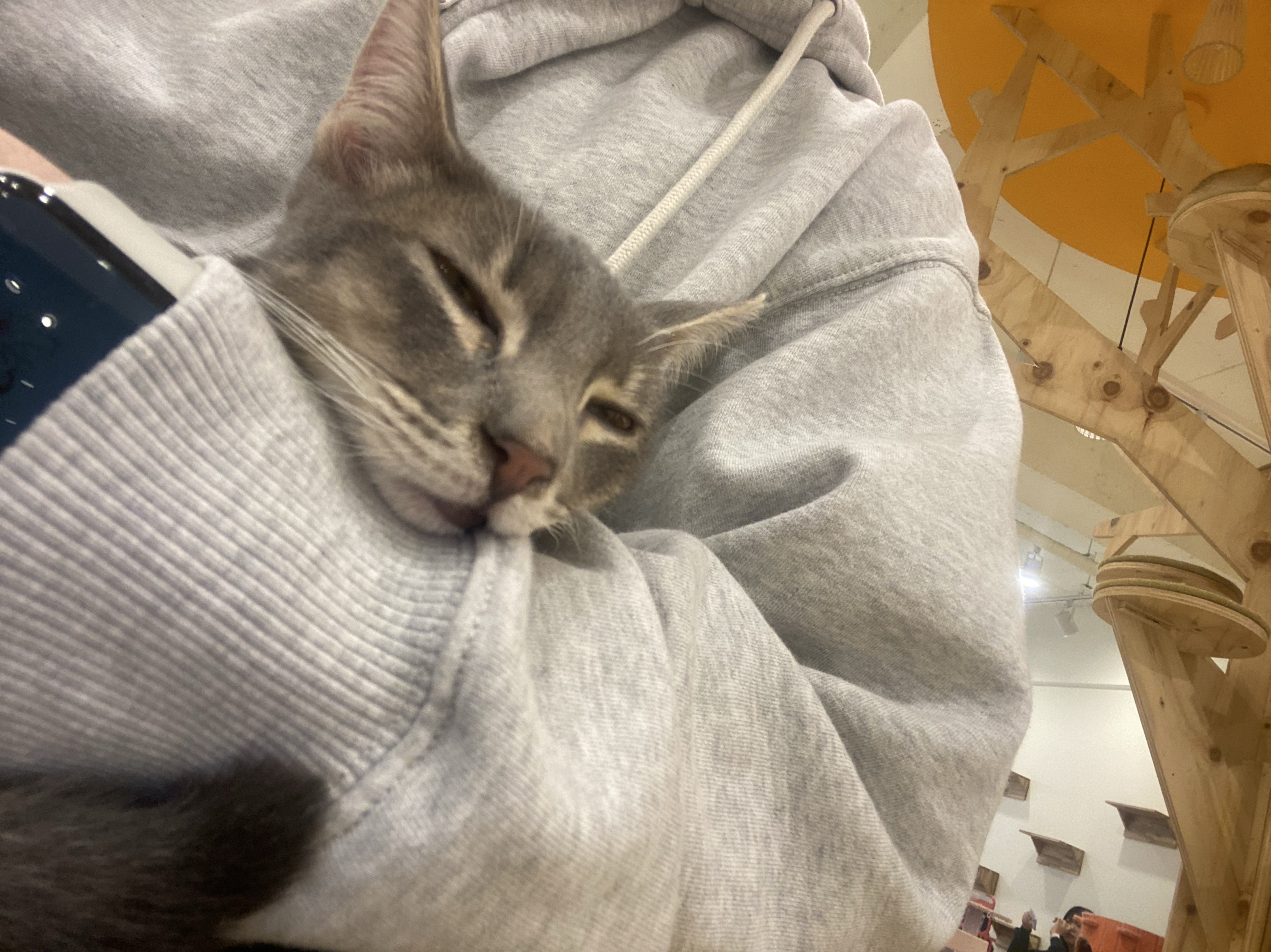 후성환