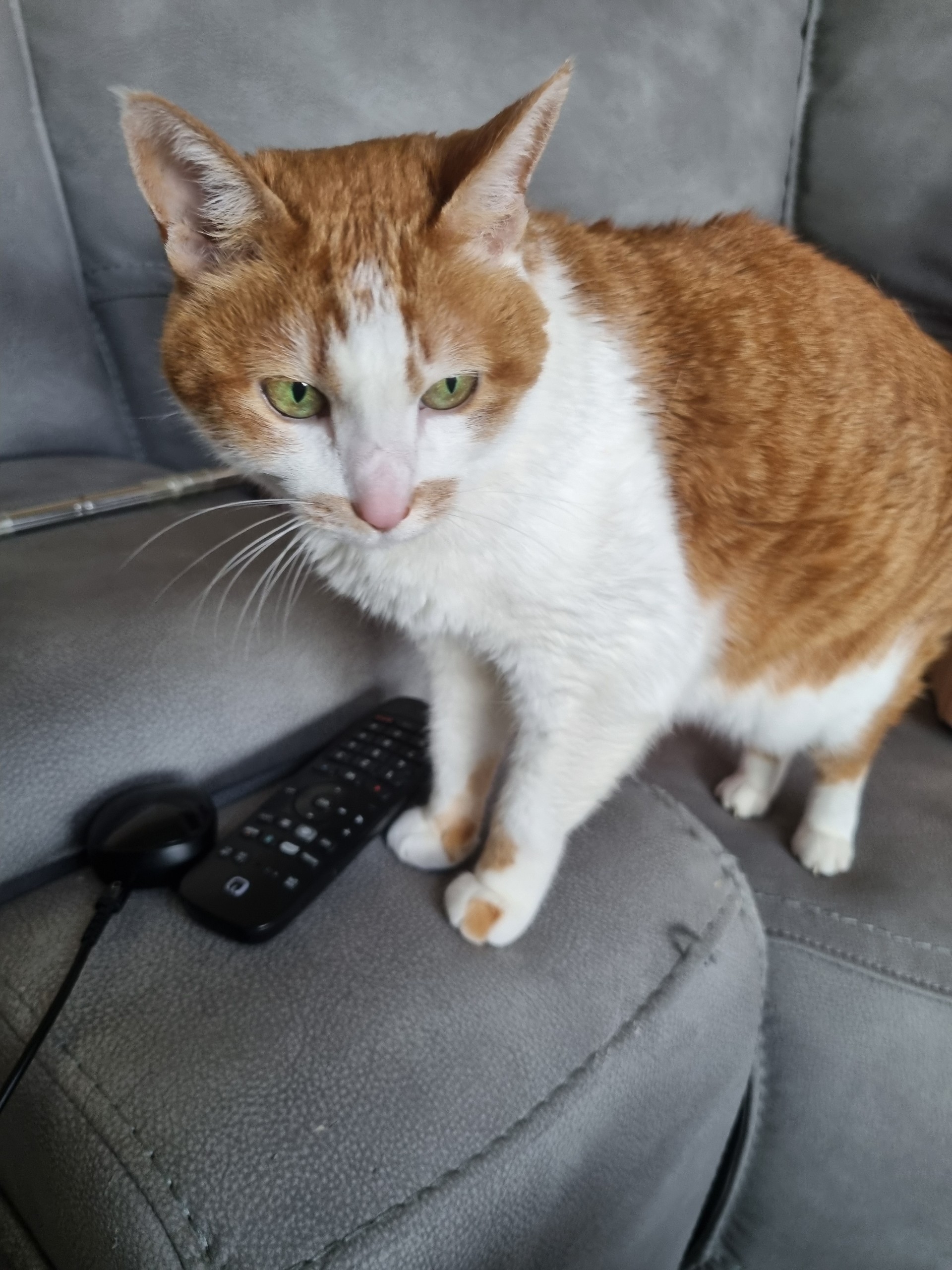 𝙋.요정 ☆*. 🇰🇷