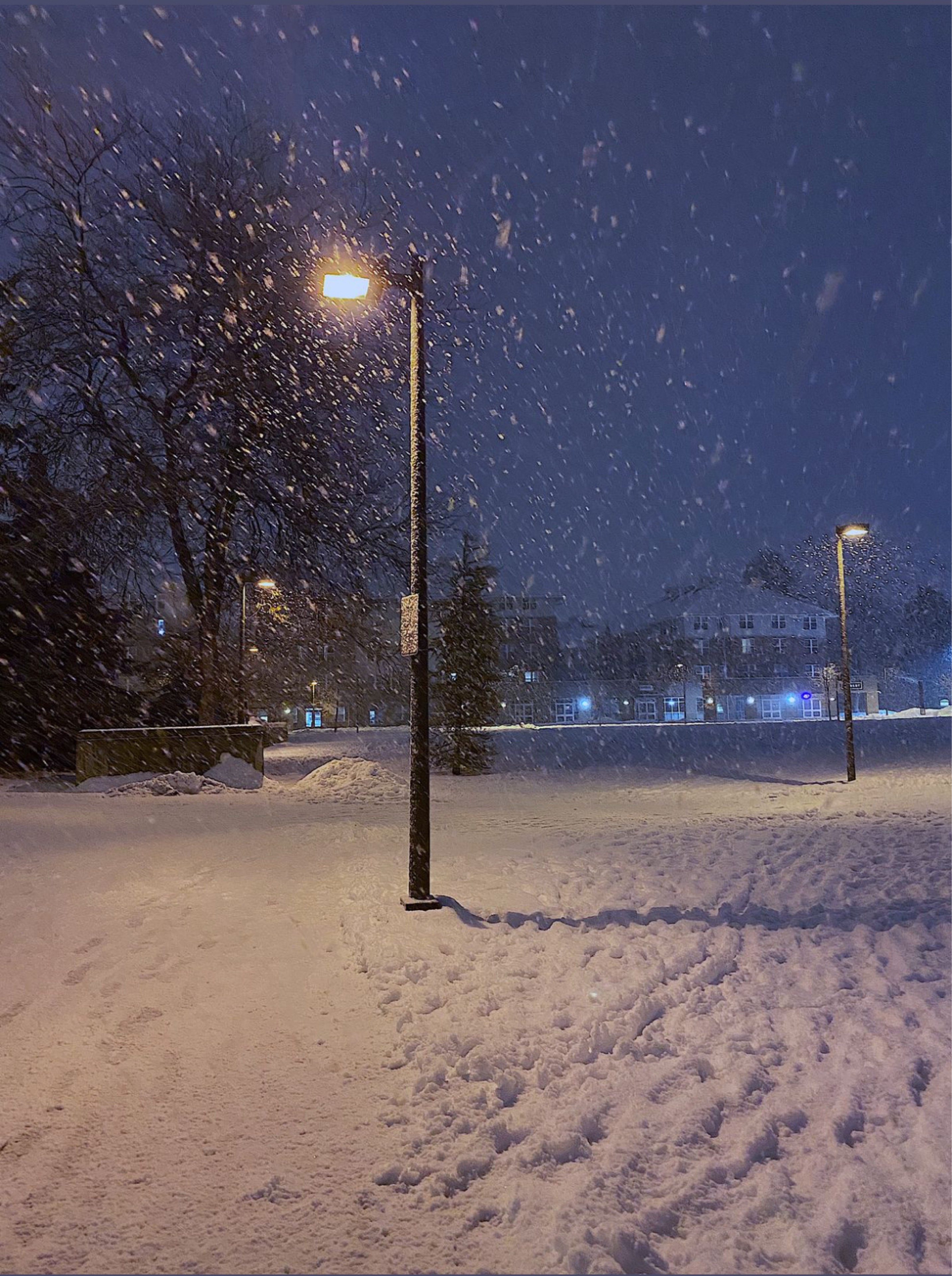 진만 바라보는 하윤 [❄️]