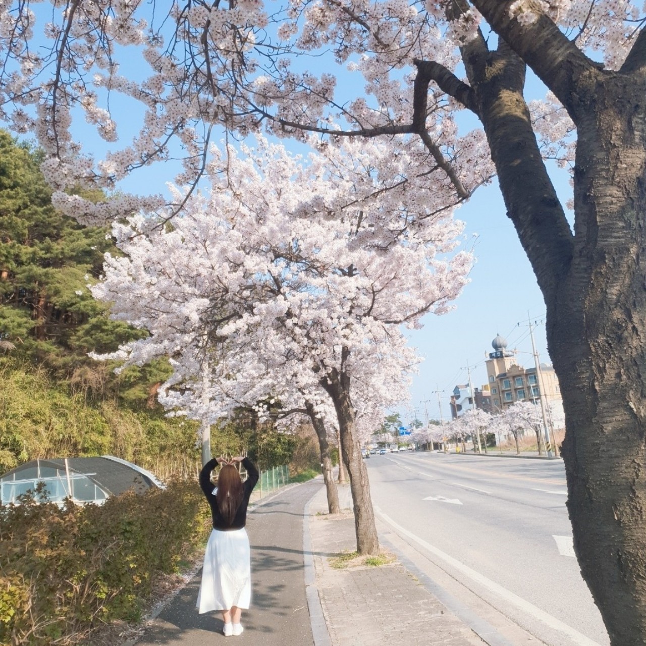 ␟.블링      ⭒ꗜ⭒