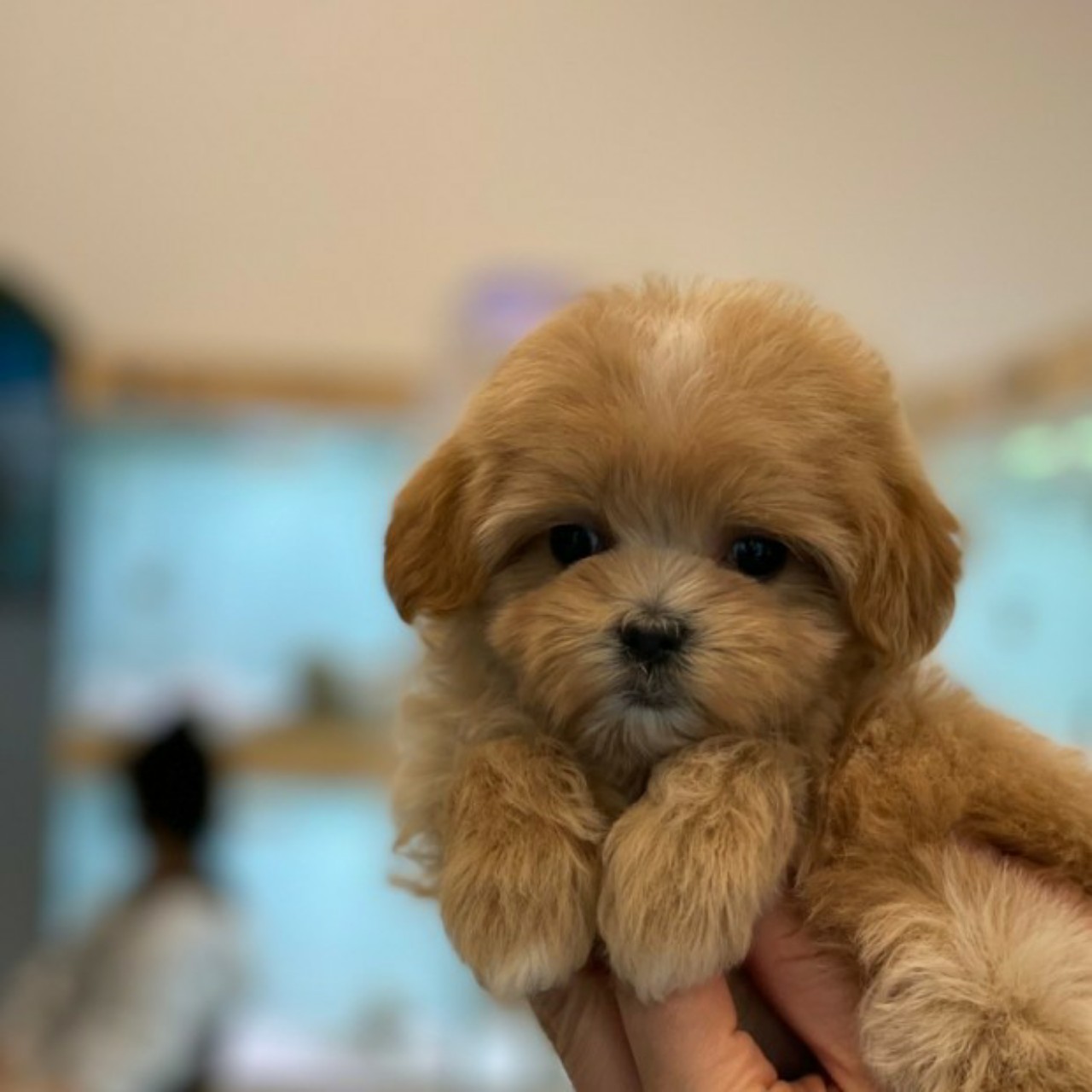 대성 본명 입니다