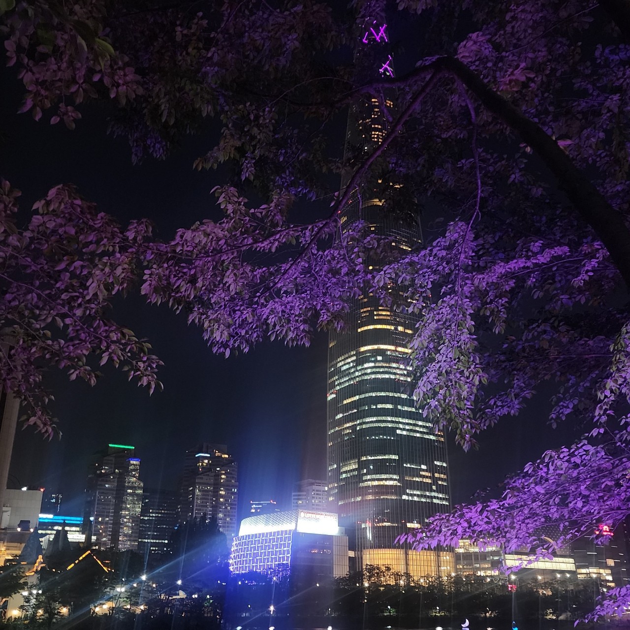 ʀᴏʏʀᴏsᴇ🌹