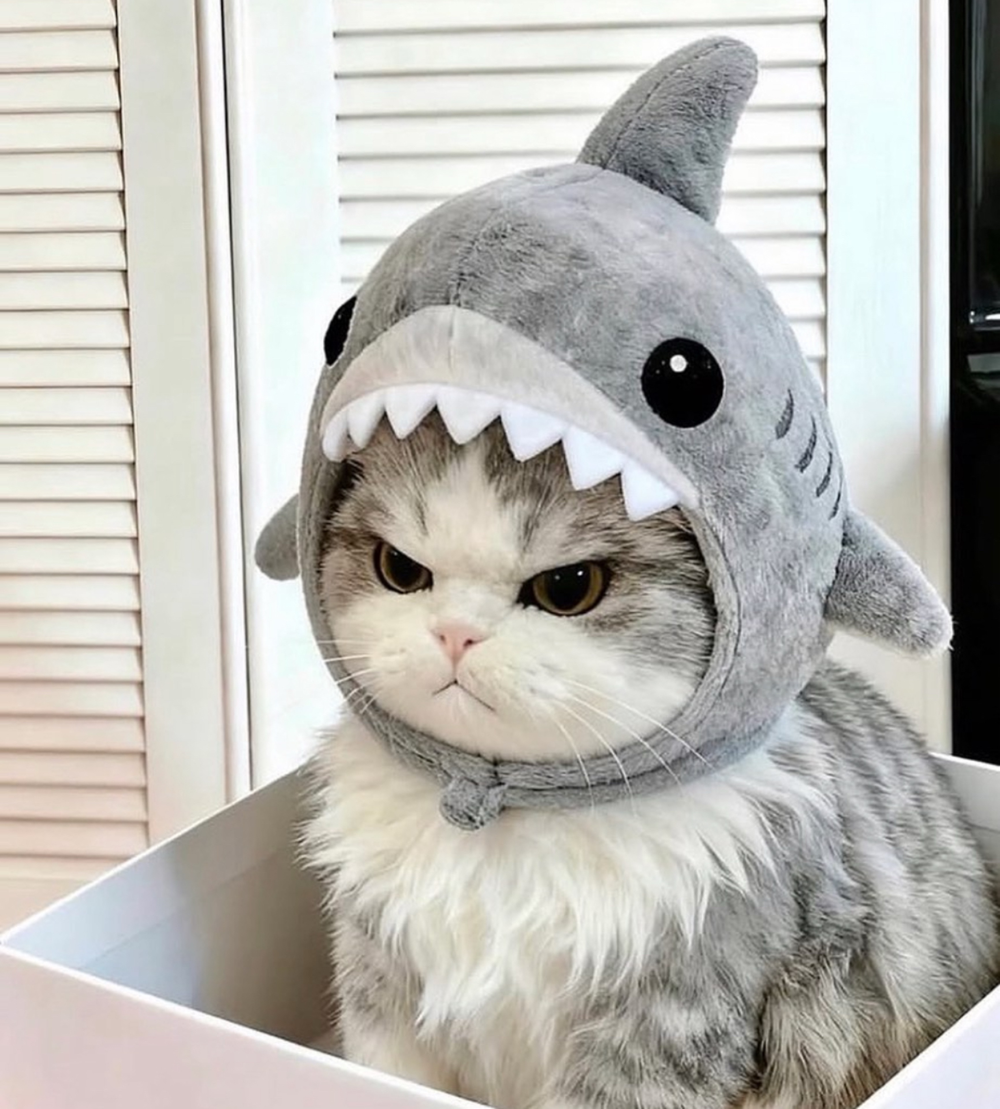 ๐๐โบโ์ธํ