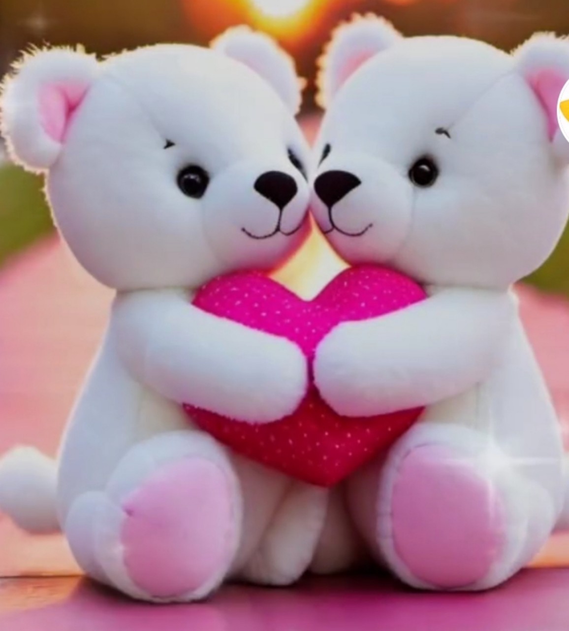 🕛 연꽃 ℒ-𝓁ℯ⍣❀ ໓๓♡꙳