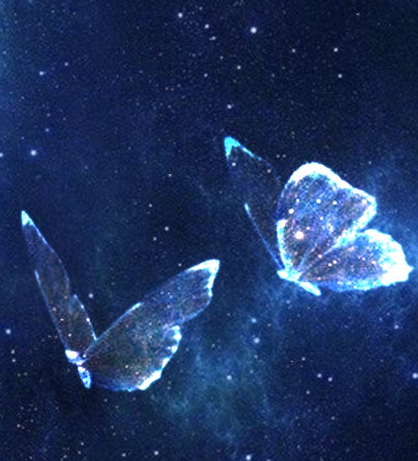 쏘야뽀끔ᴳᴳᵁ