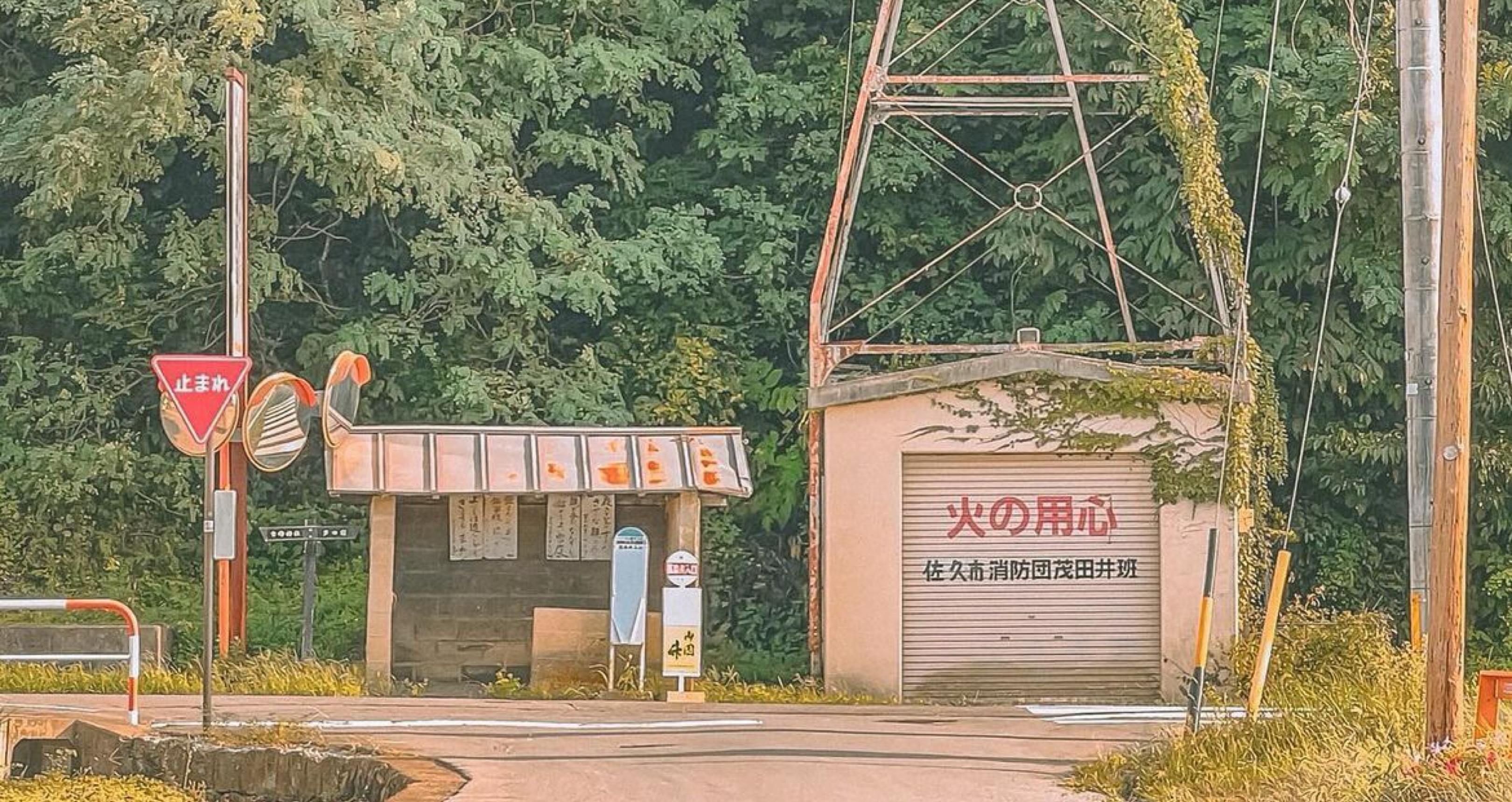 𓆩꙳ 𝟺 𝟷 𝟻