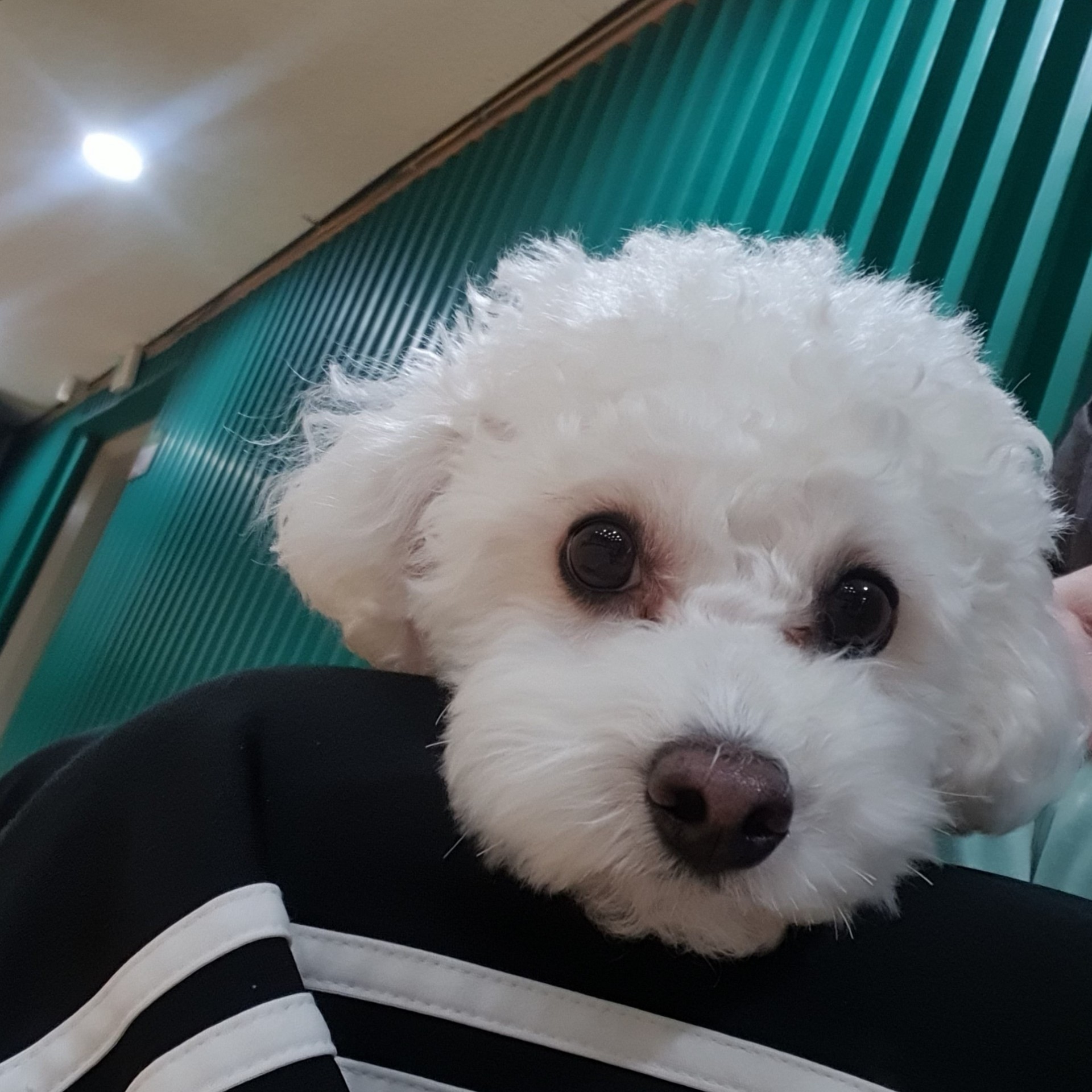 쥽쥽