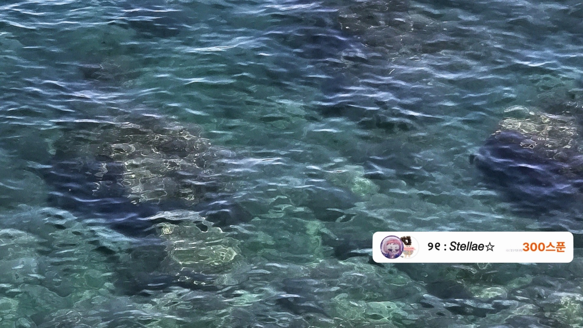 해 록           海