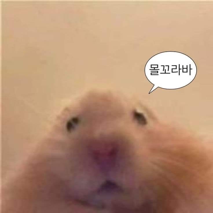 안 수 년     🧖🏻‍♀️