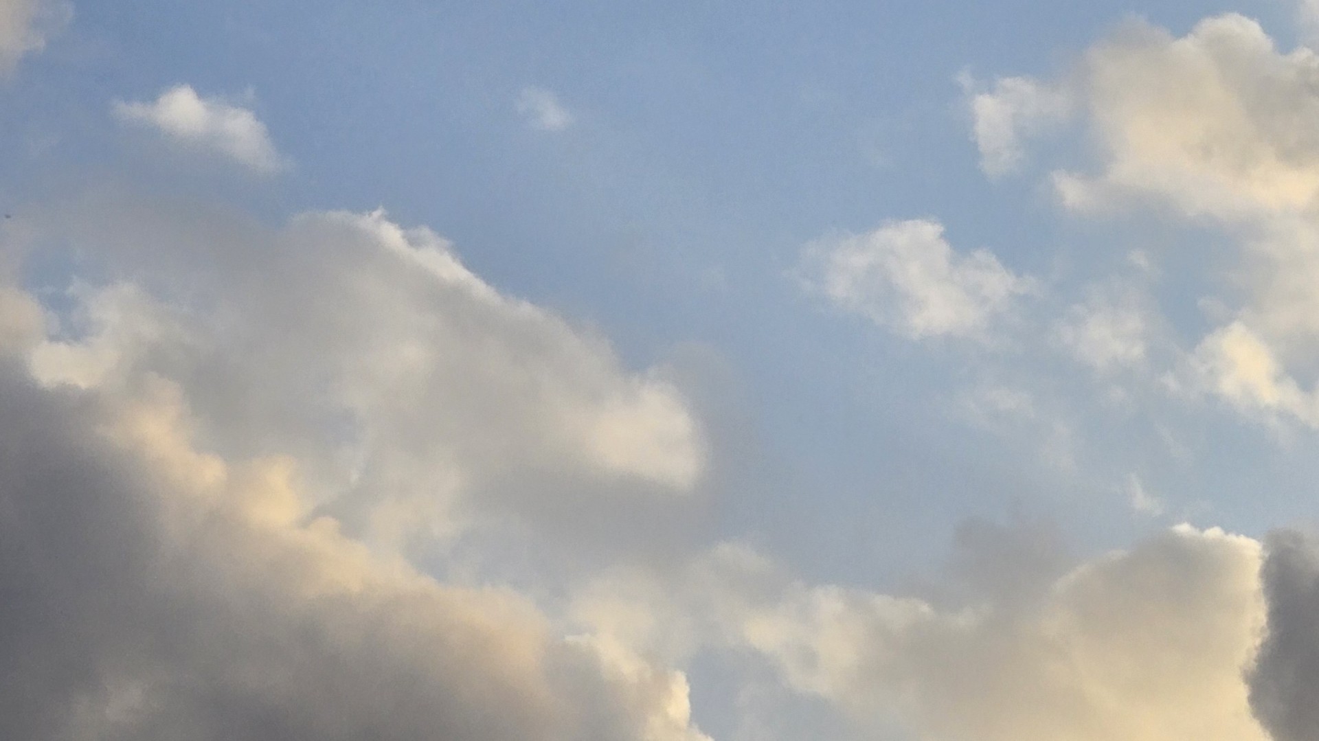 「花」 흐 림 🌫