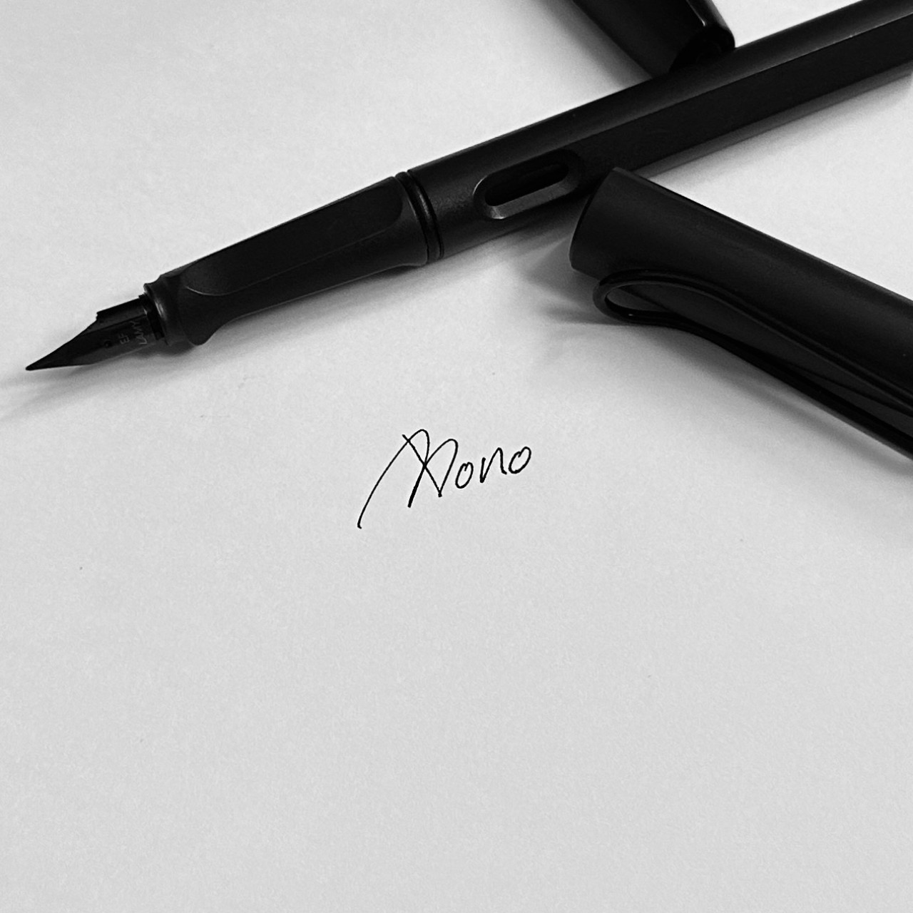 ˡᵉᵃᶠ'ˢ 𝙱𝚘𝚗𝚘 ☘︎₊·