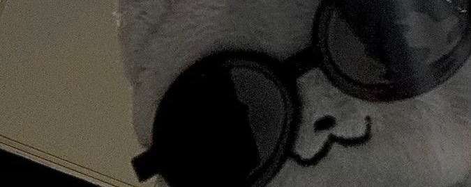 연. 보 라 ✿.*・