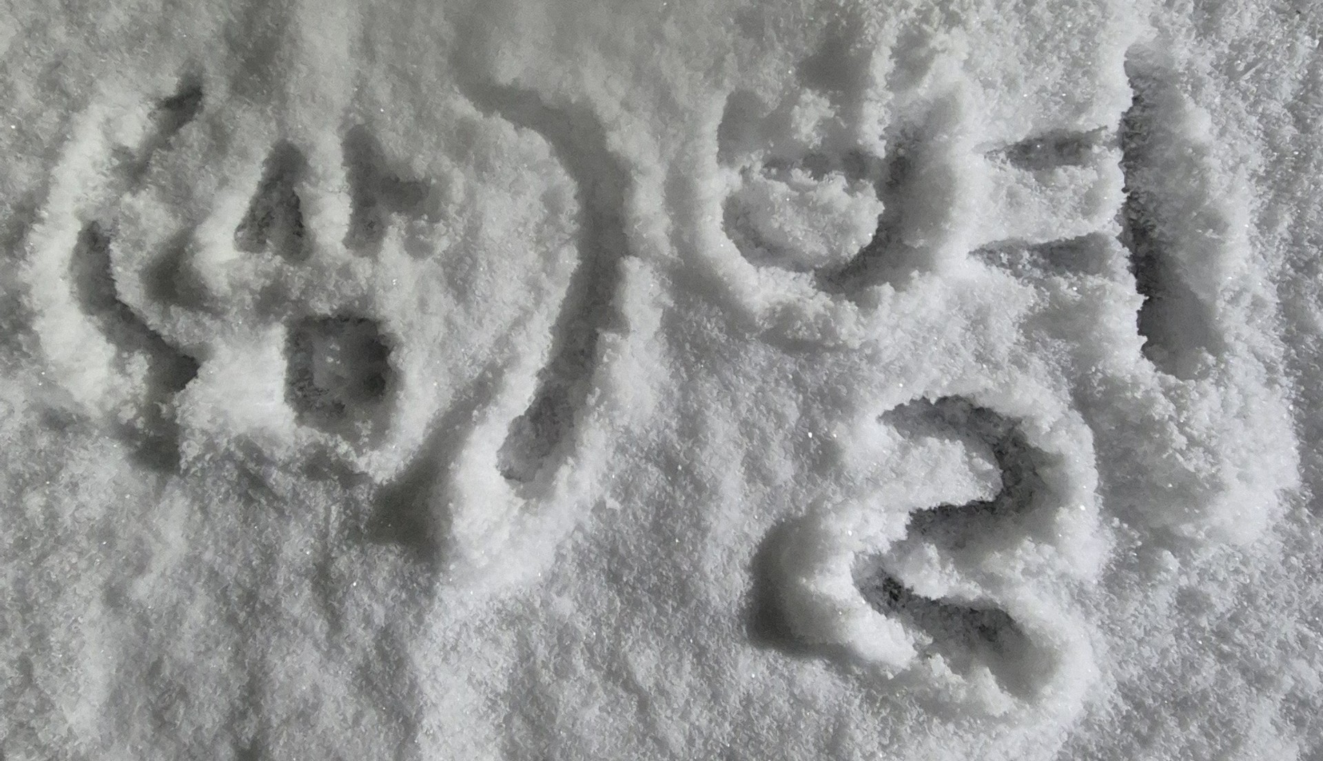 (루)별🌠 ᴶᵃᵐ