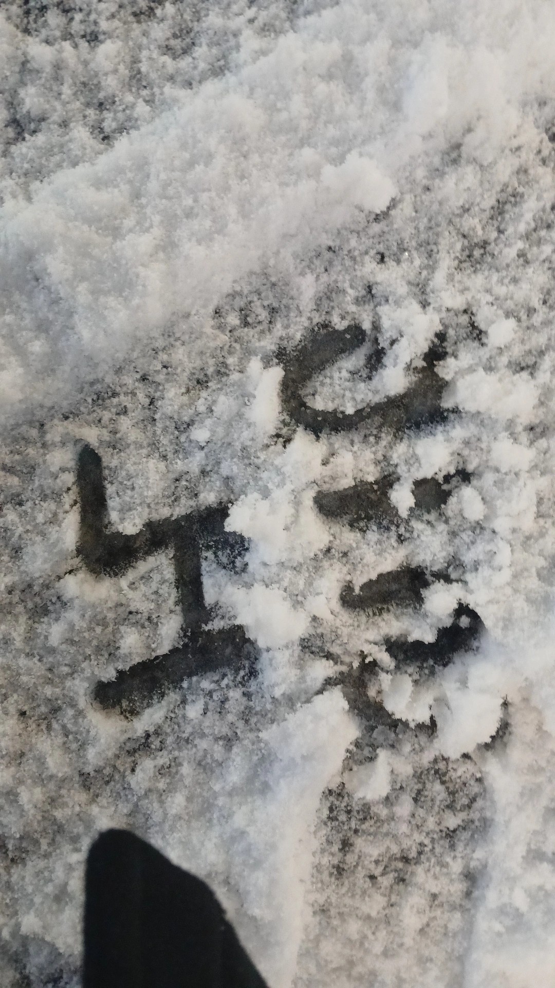 𝕊𝕦𝕟𝕤𝕖𝕥_𝟘𝟠𝟝