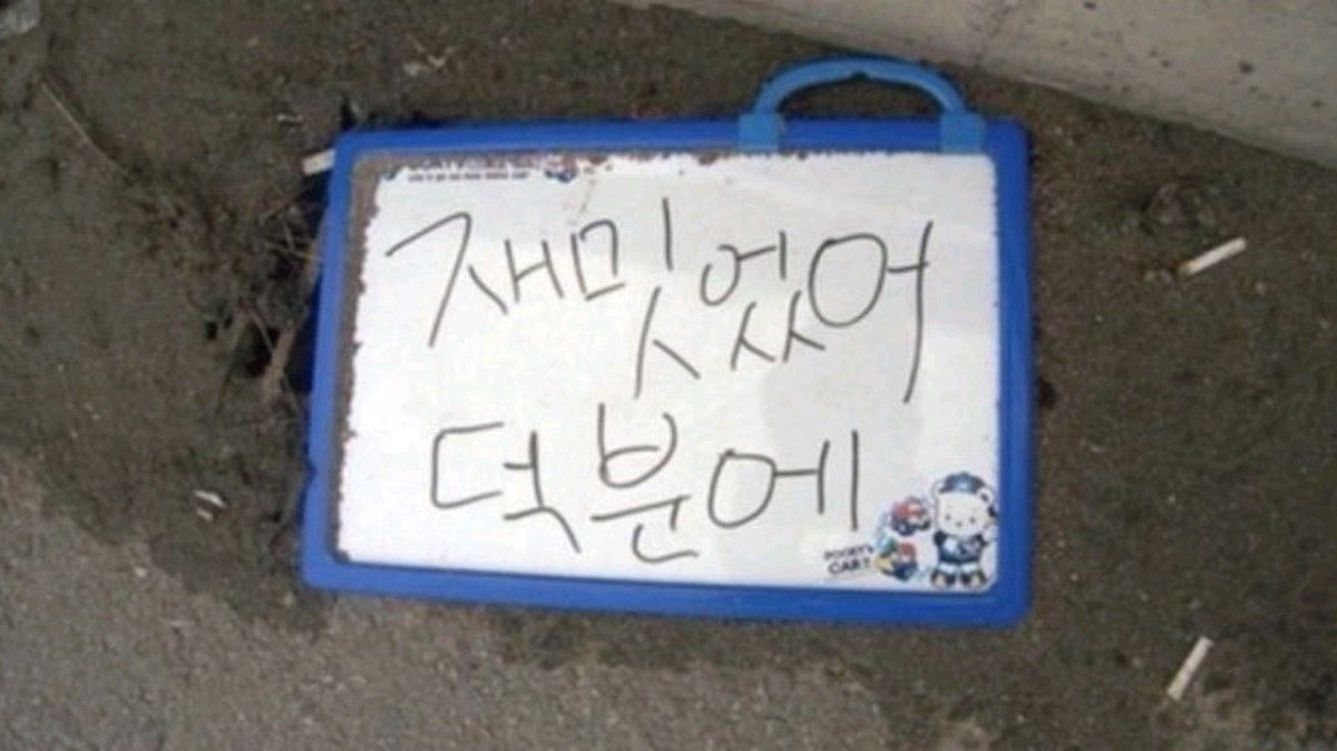 소 댕՞՞