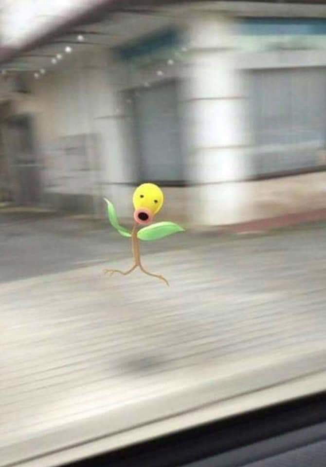 김 맹 두