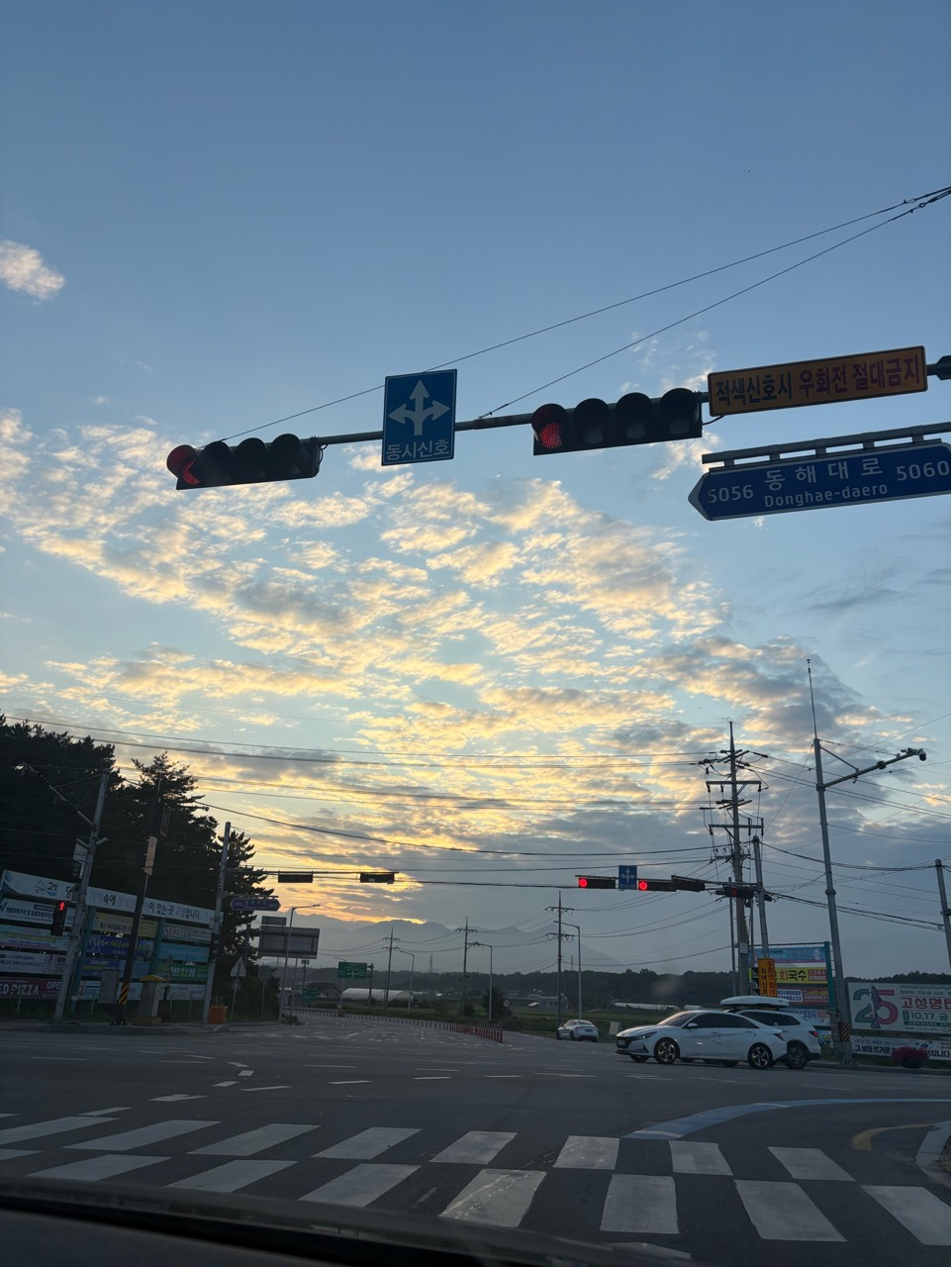 𝐿-𝒜𝓇𝓉안쿠키🥠