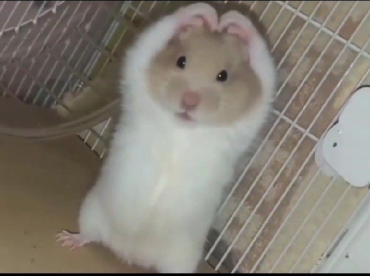 일러✦⃘̵̥̇ ⁵⁄₇✧