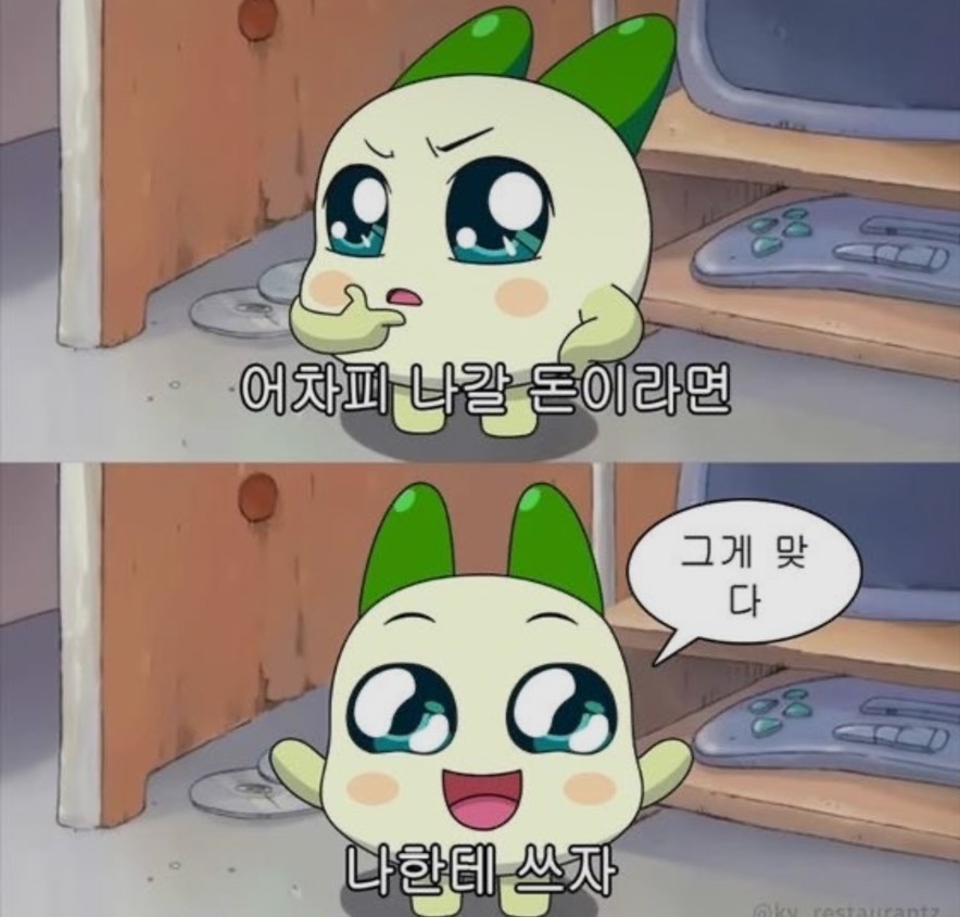 유 찌