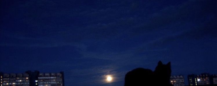 [✘] Jerry ⋆｡˚ ☁︎