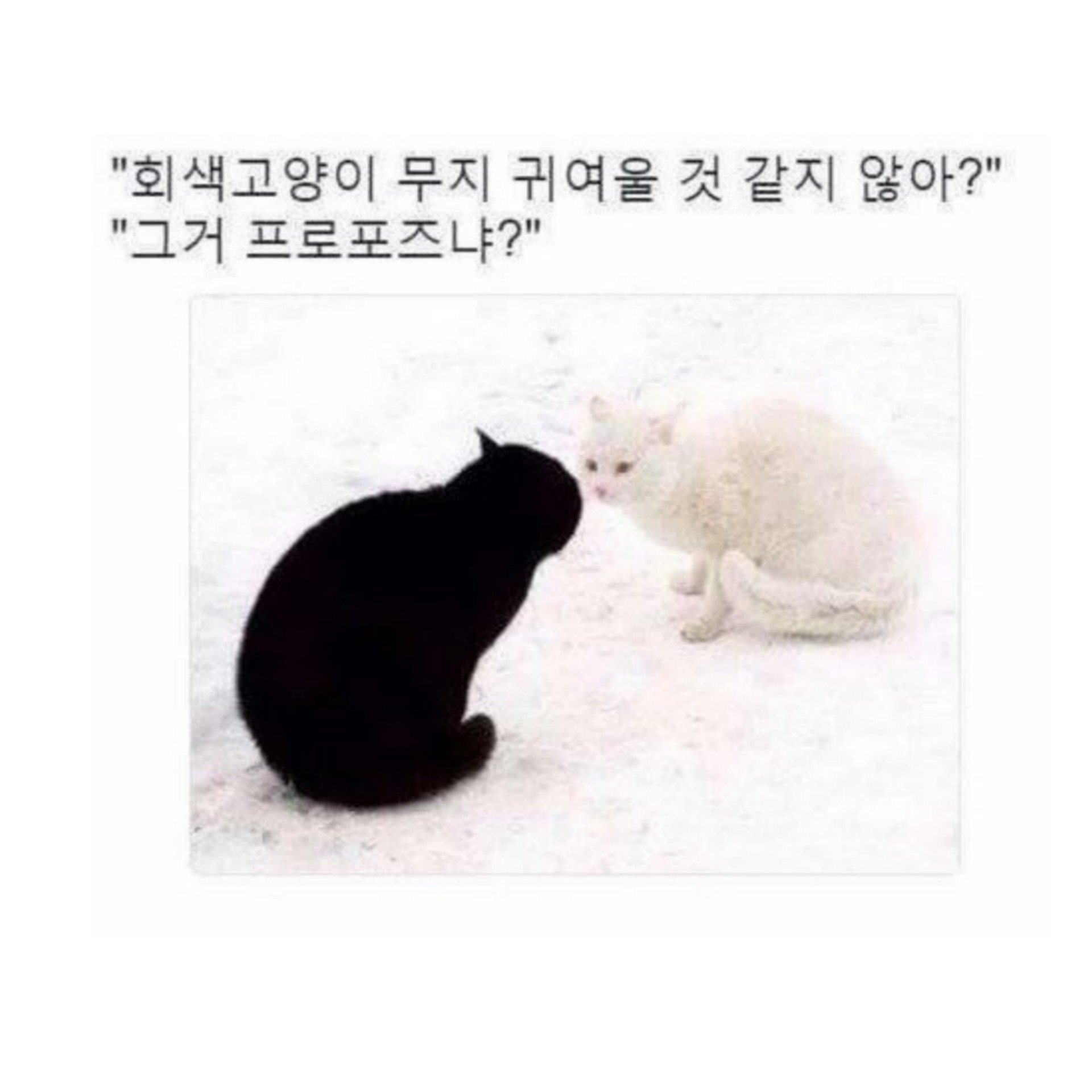 쑤 더 지