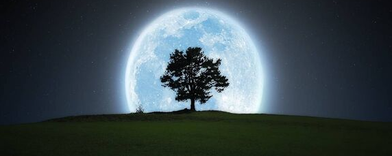 ํด ๋ฃก๐ฆ