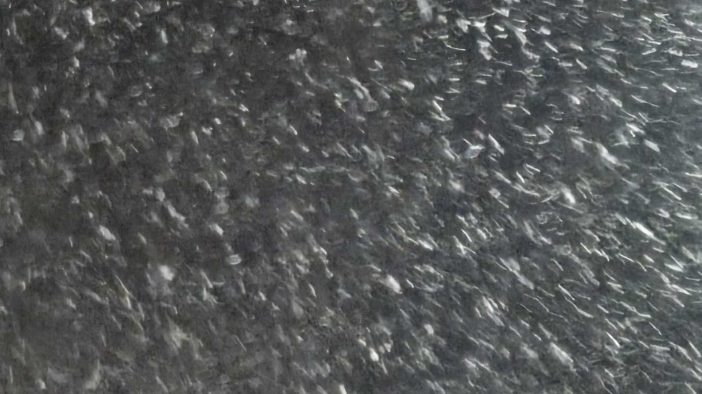 「花」 흐 림 🌫