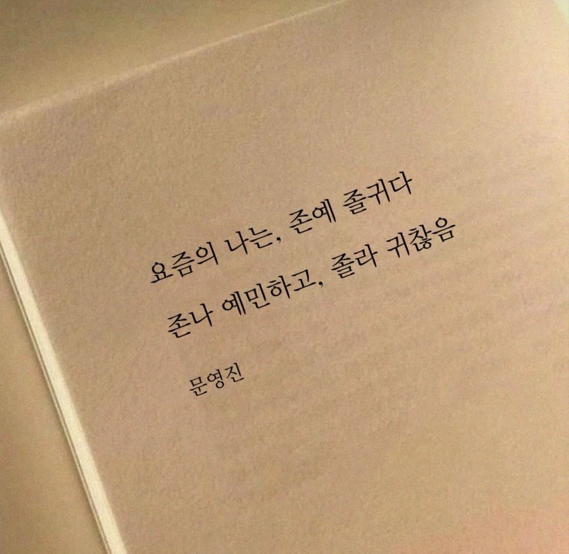 찬쓰만의 메이드 뿌 야ㅹ