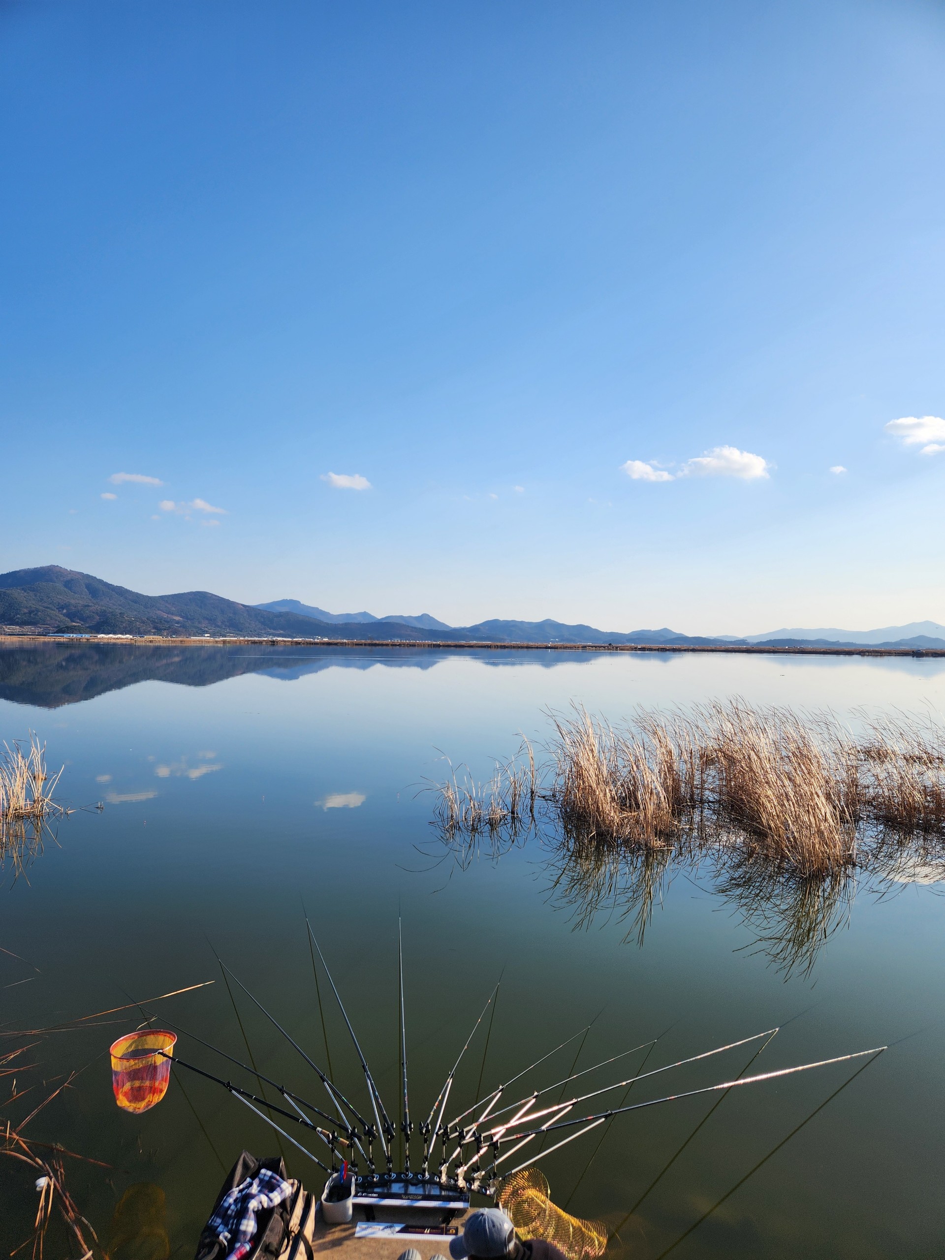 ◝(⁰▿⁰)◜아스라이💜