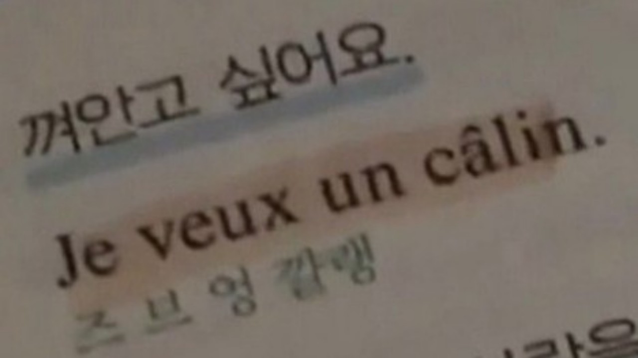 푸 푸