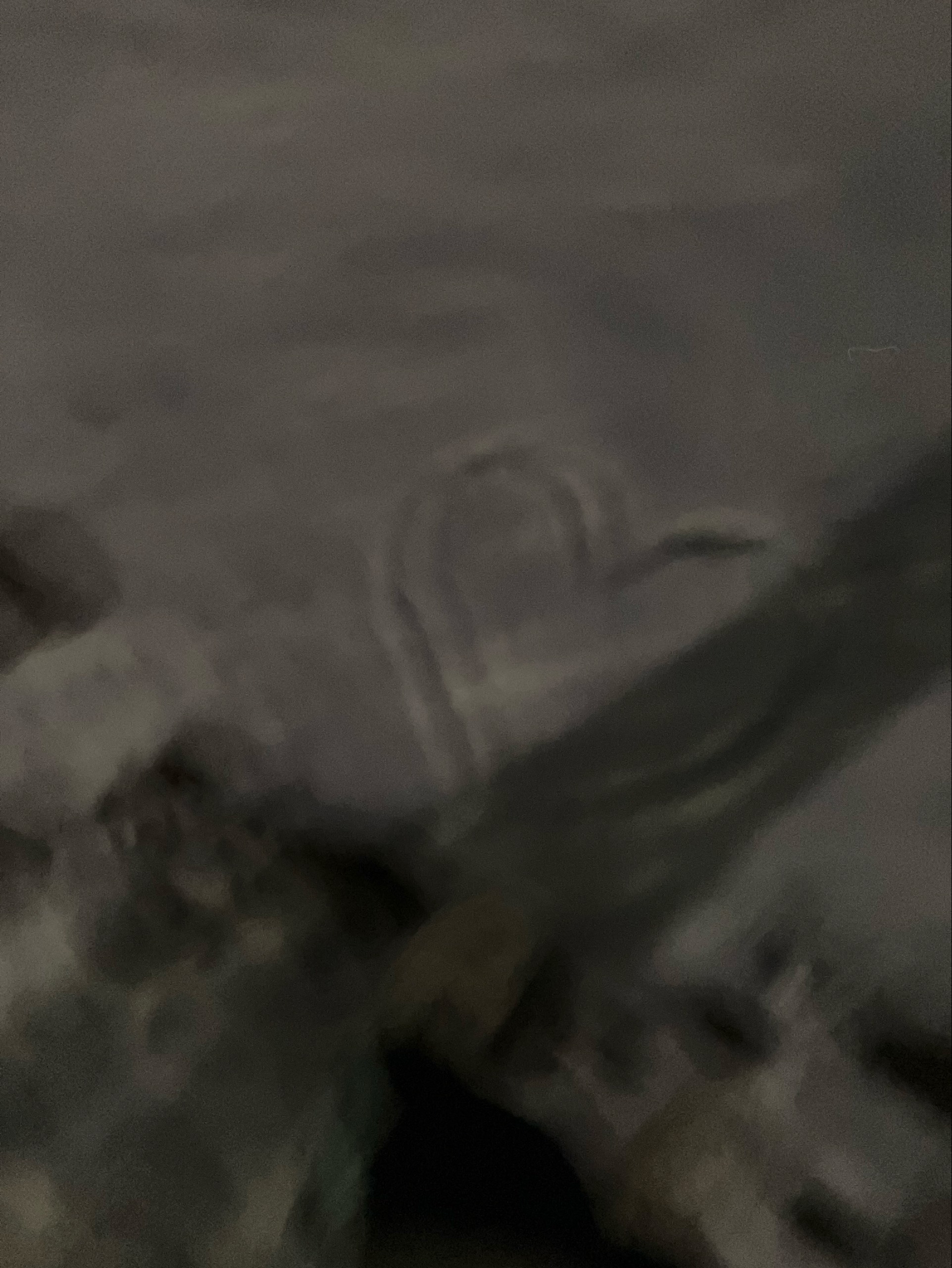 장원영 ☽₊˙⋆