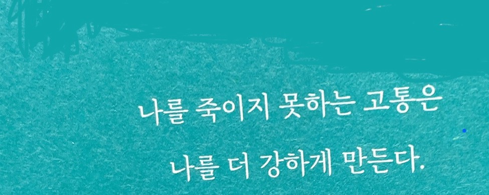 겁나잉 무거운 시파 海